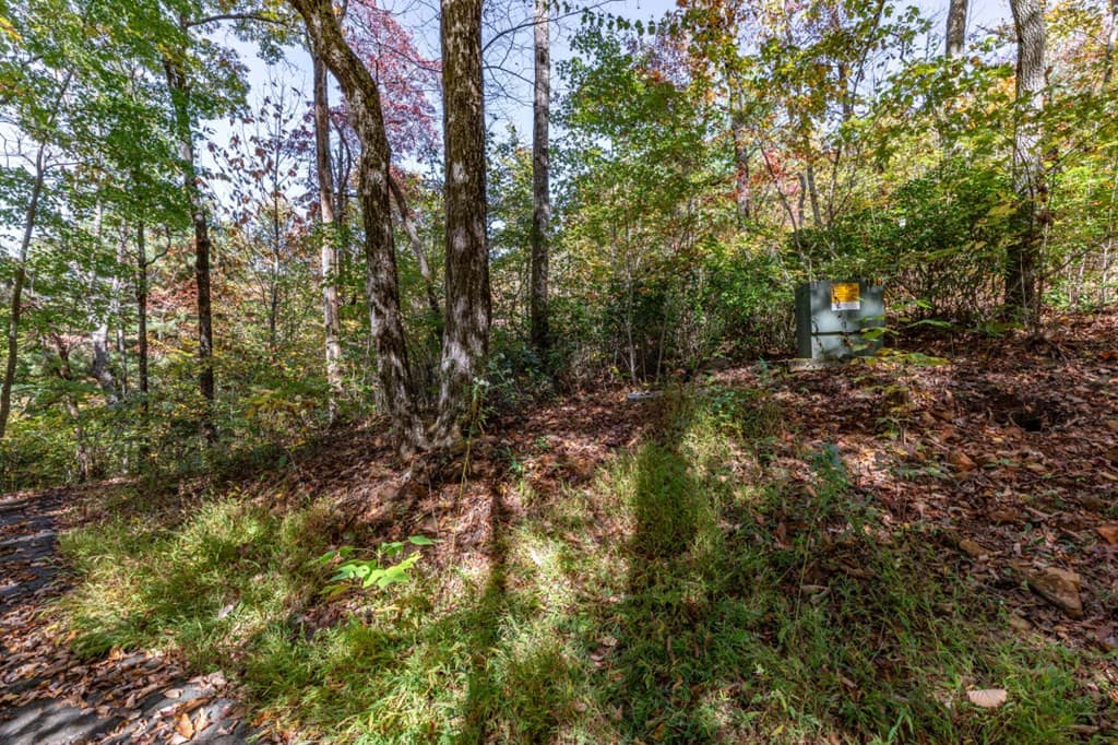 Undeveloped at Lot 38 38 Skyview At Wildlife Acres, Hayesville, NC 28904, Hayesville, photo 10 of 32