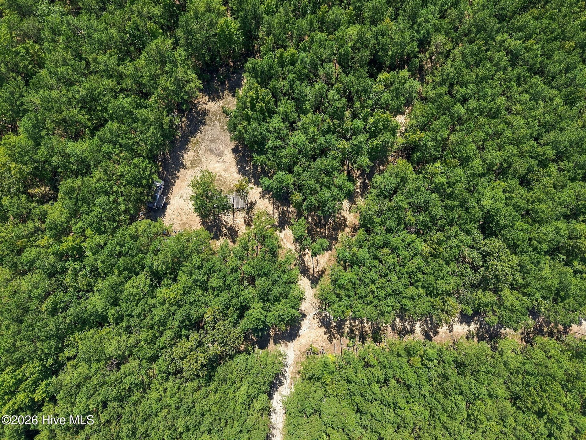 Undeveloped at 260 Full Bright Lane, Cameron, NC 28326, photo 5 of 15