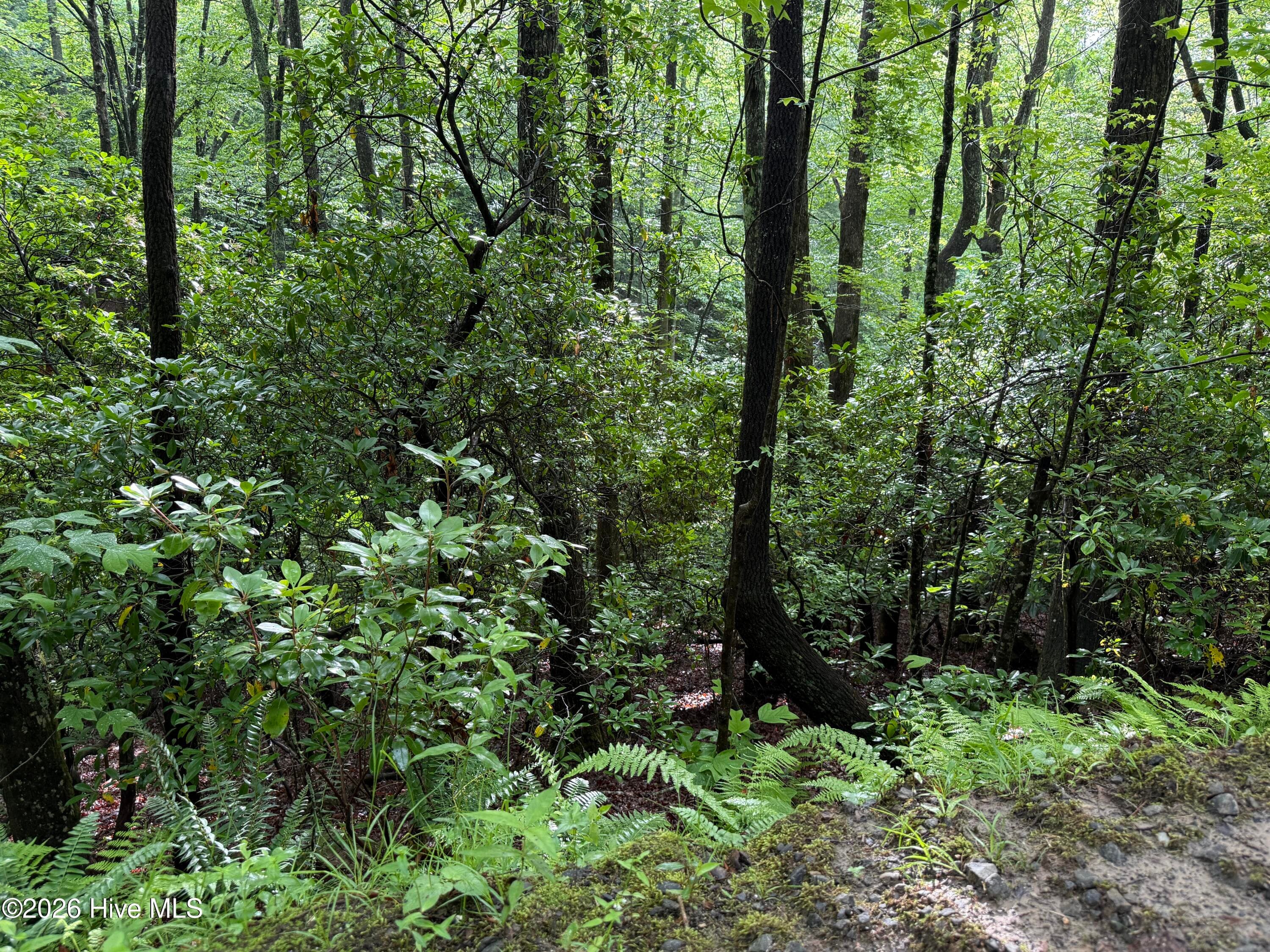 Residential Lot at Lot 28 Atoah Loop, Murphy, NC 28906, photo 9 of 15