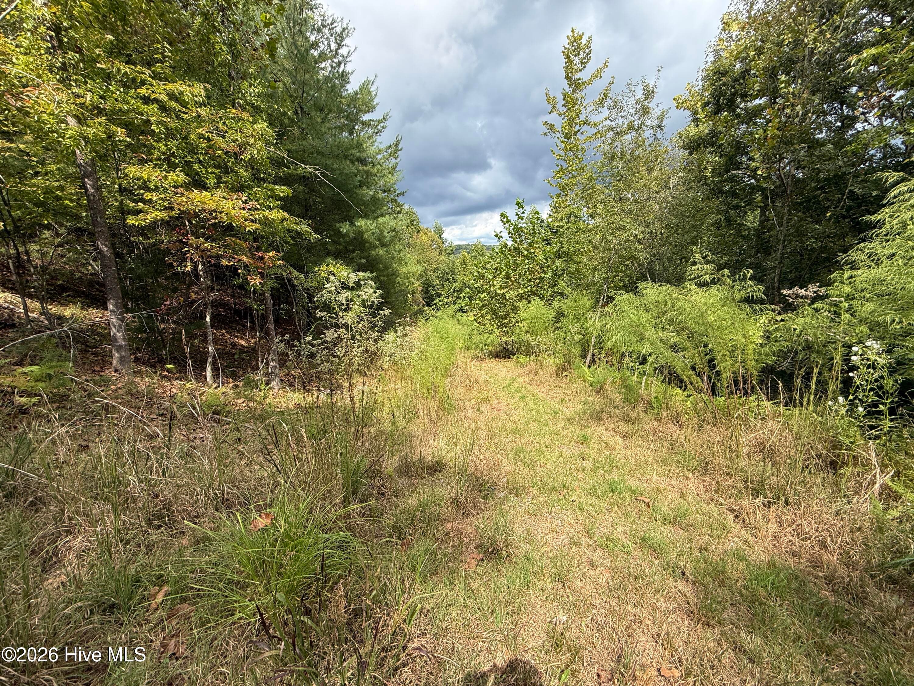 Residential Lot at 190 Leisey Lane, Murphy, NC 28906, photo 3 of 7