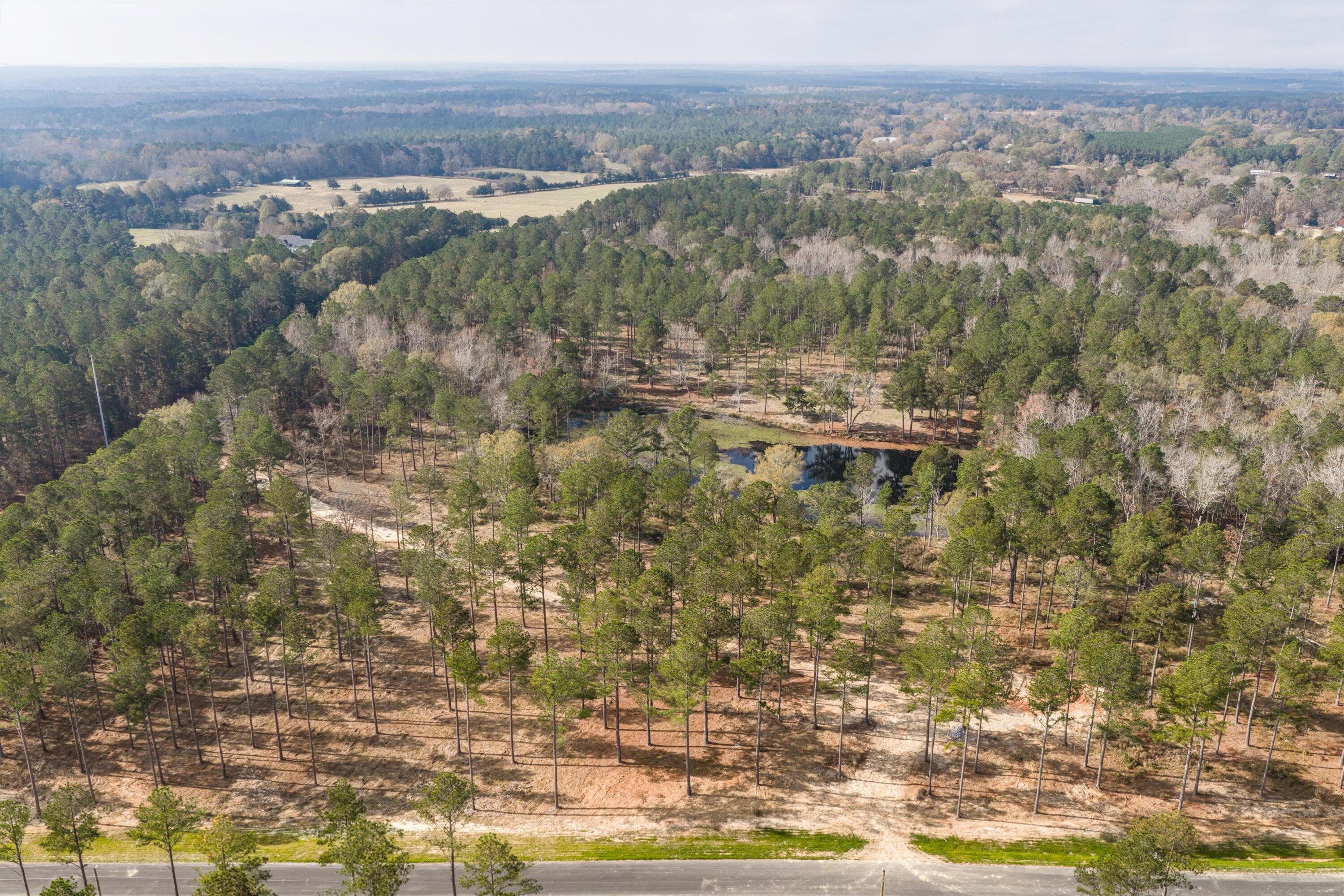Residential Lot at 128 Beagle Chase Drive, Appling, GA 30802, photo 4 of 7