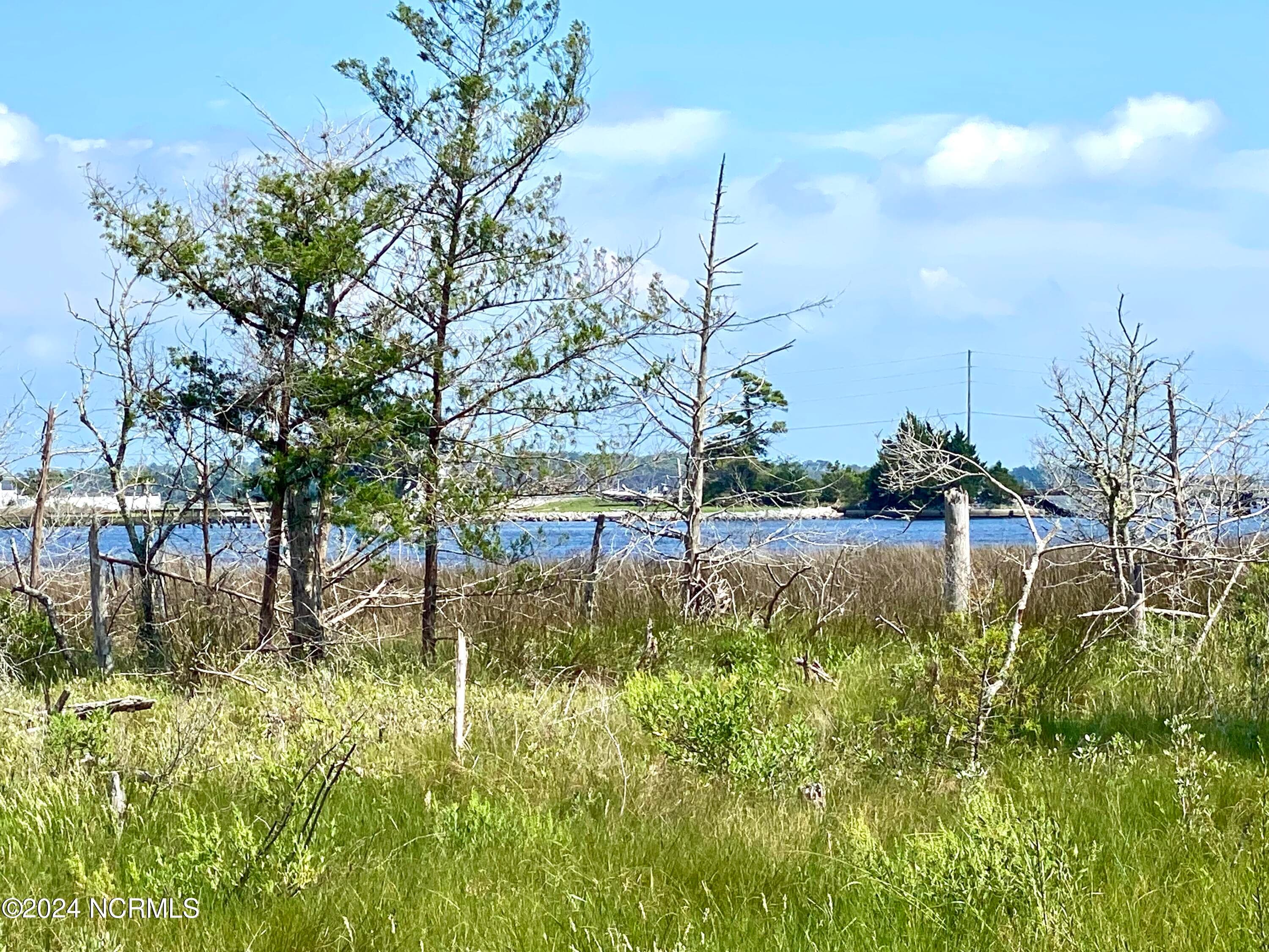 Residential Lot at 280 Donnie Davis Road, Williston, NC 28589, photo 20 of 22