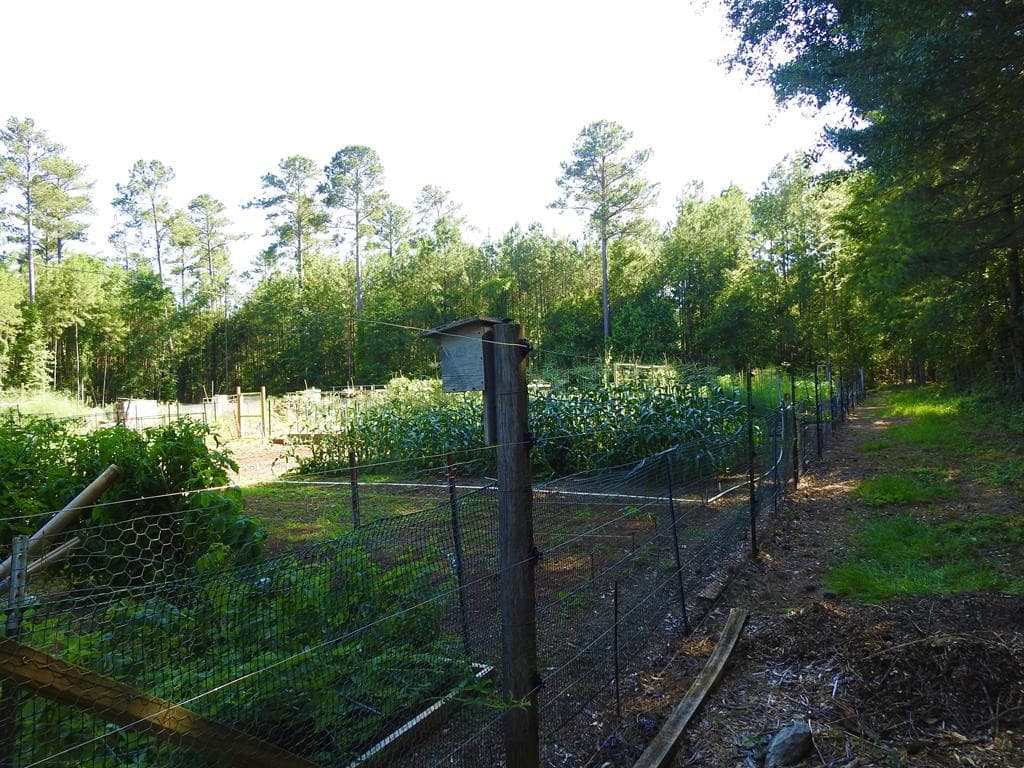 Undeveloped at L13 B28 13 Monroe Lane, McCormick, SC 29835, photo 22 of 32
