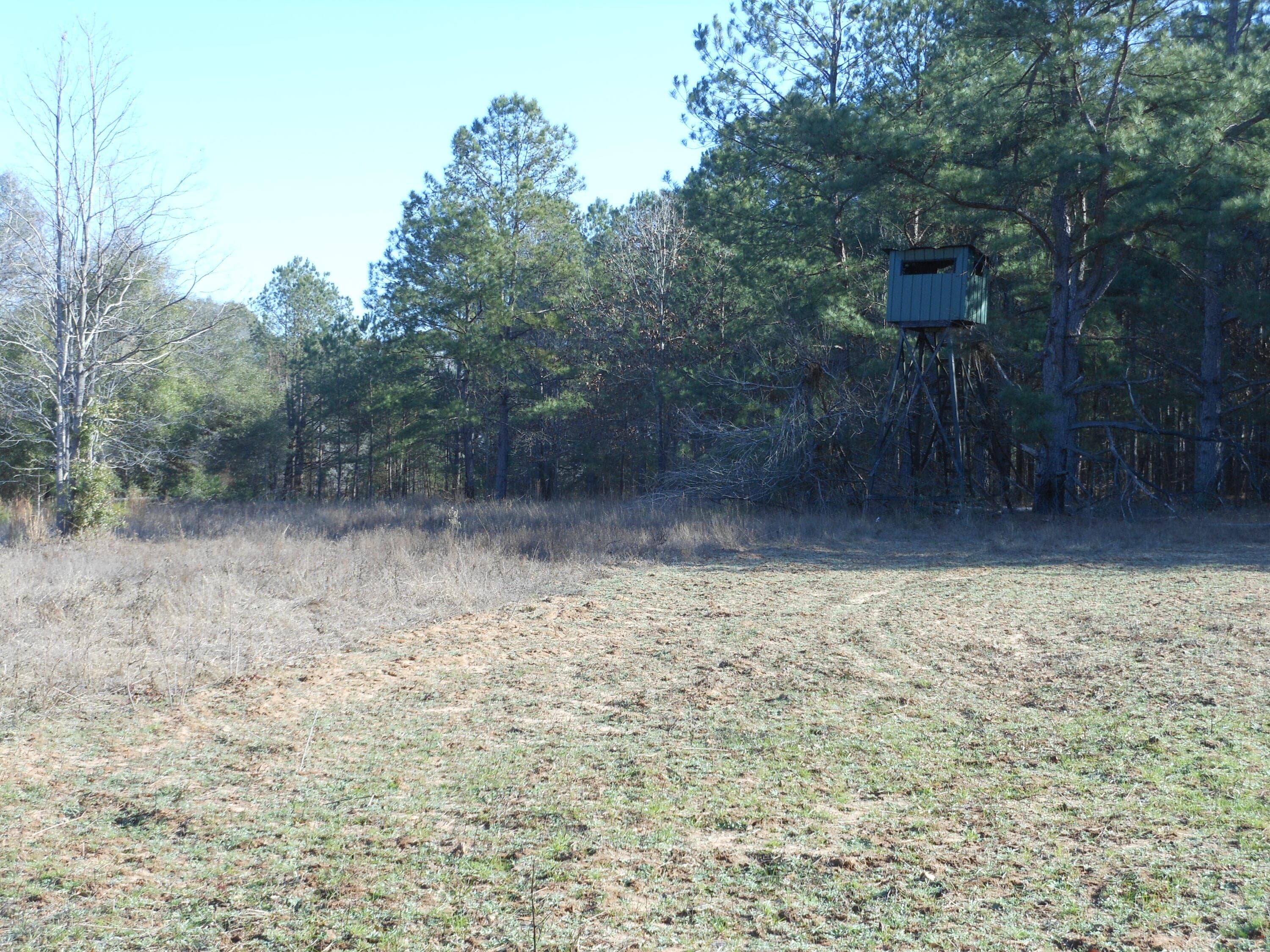Undeveloped at 0 Ponderosa Road, Waynesboro, GA 30830, photo 36 of 45