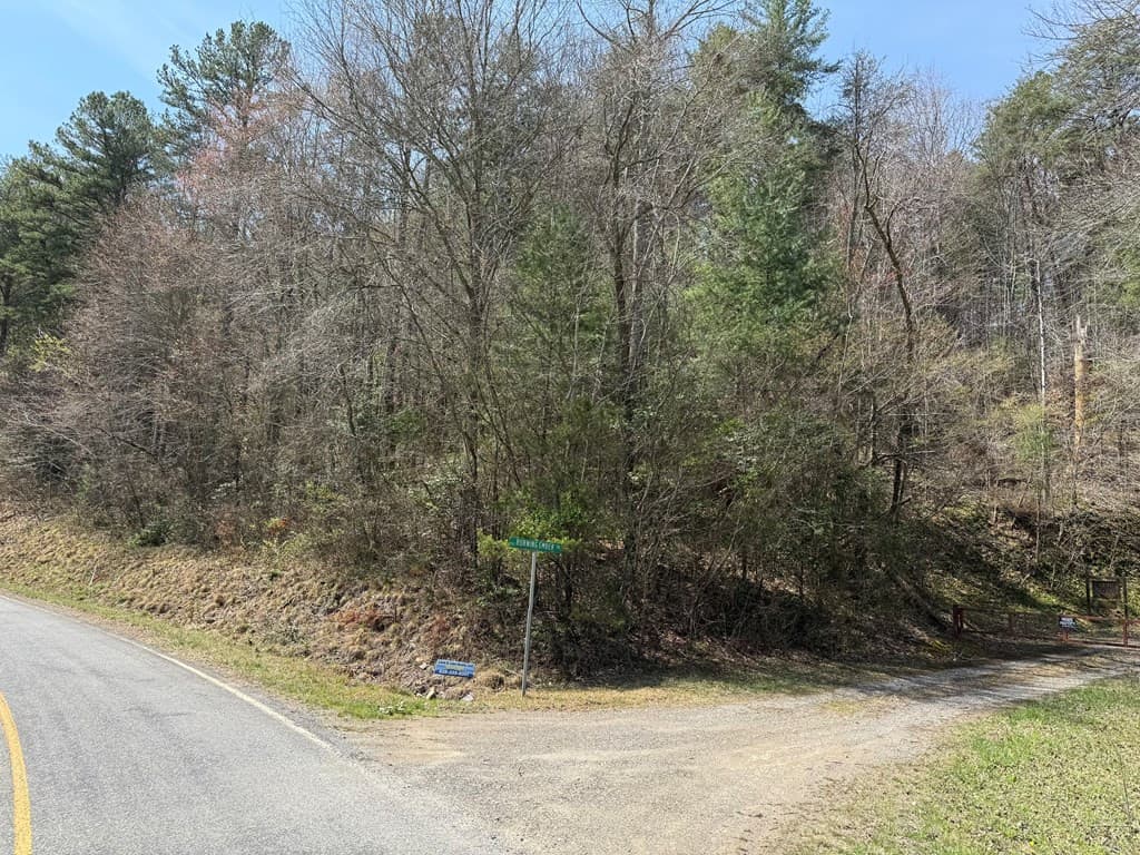 Undeveloped at 0 Morrow Road, Murphy, NC 28906, photo 2 of 3