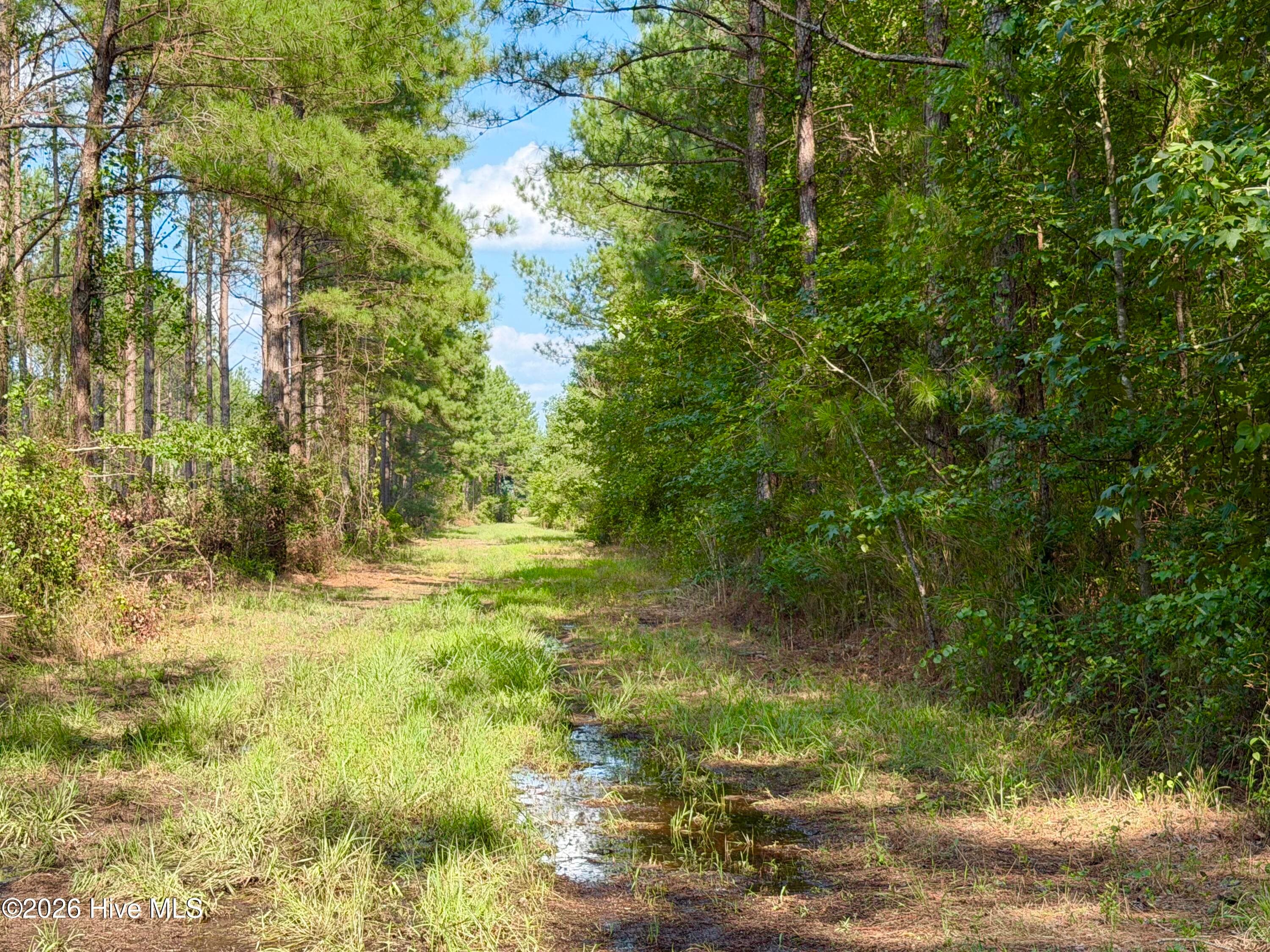 2310 Devils Racetrack Road, Four Oaks, NC 27524