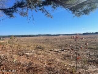Wooded at 847 4565 Seagull Drive, Vass, NC 28394, photo 6 of 7