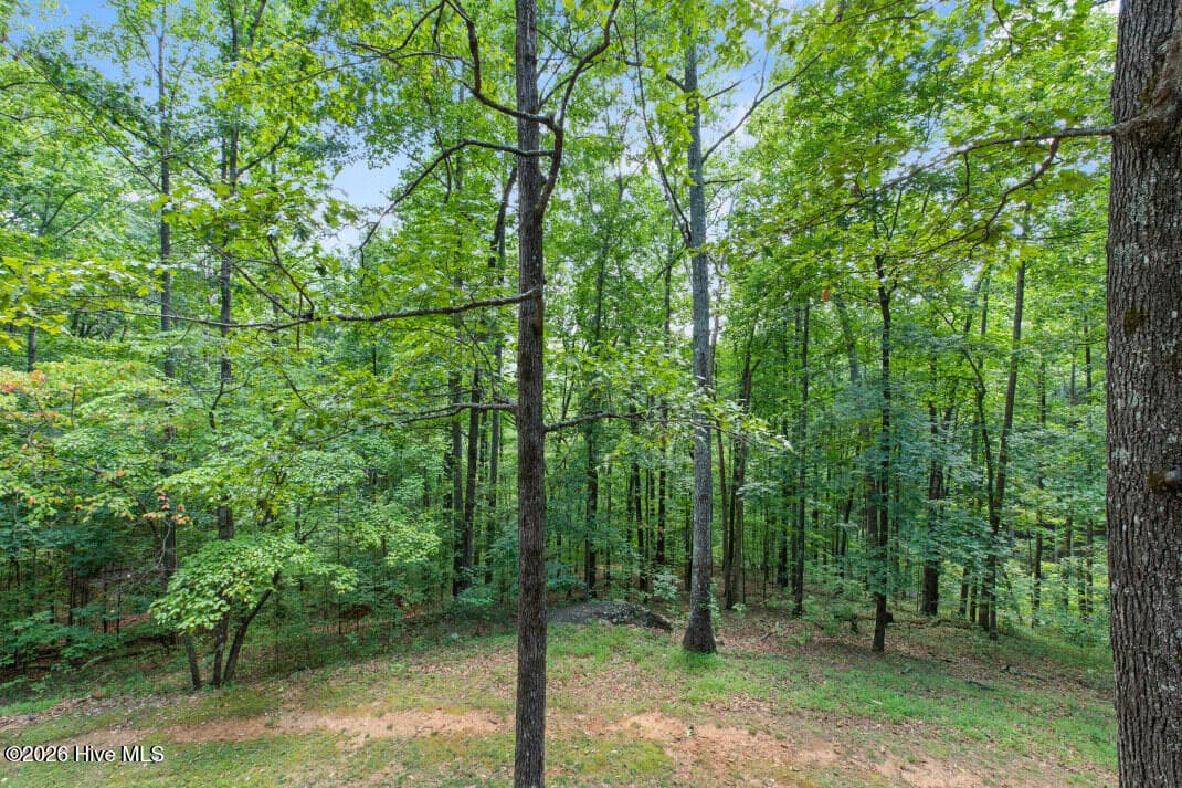Single Family Residence at 2930 Upper Bell Cr Road, Hayesville, NC 28904, Hayesville, photo 10 of 23