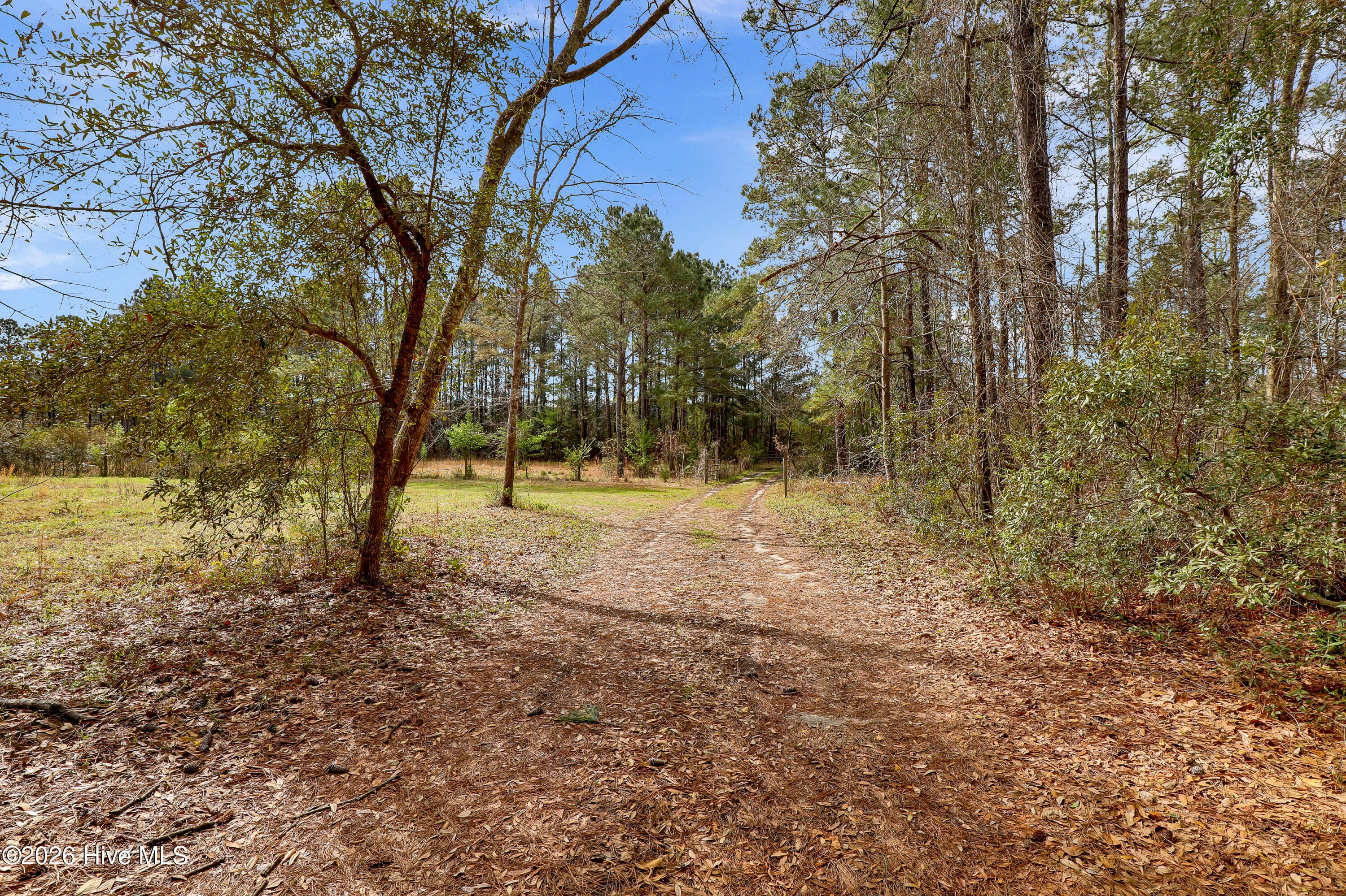 Residential Lot at 5535 Tract 2 Fulton Avenue, Castle Hayne, NC 28429, photo 6 of 16
