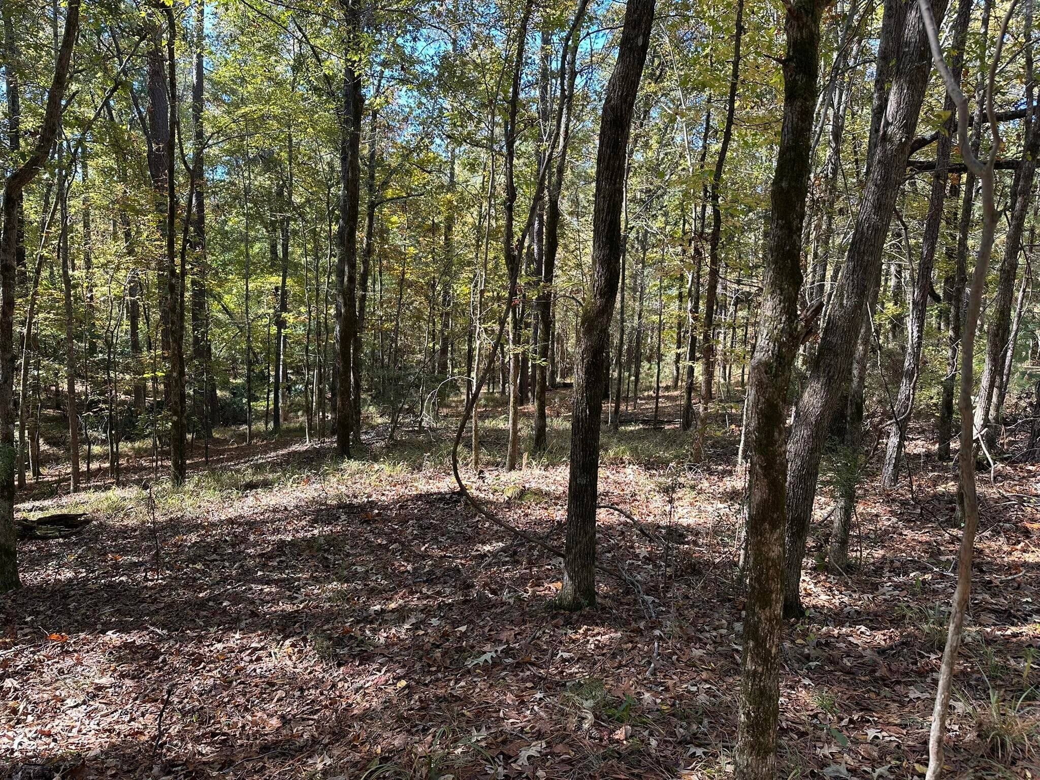 Residential Lot at 167 7 Southwind Drive, McCormick, SC 29835, photo 6 of 18