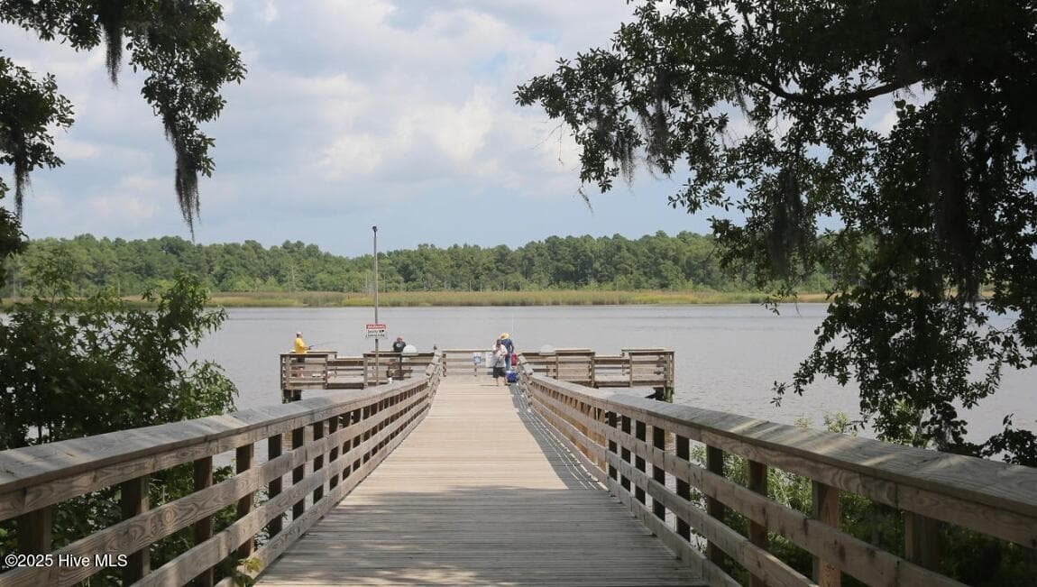 Fishing, walking trail, boardwalk & playgrounds - 525 Tea Tree Circle Lot 132, Navassa, NC 28451