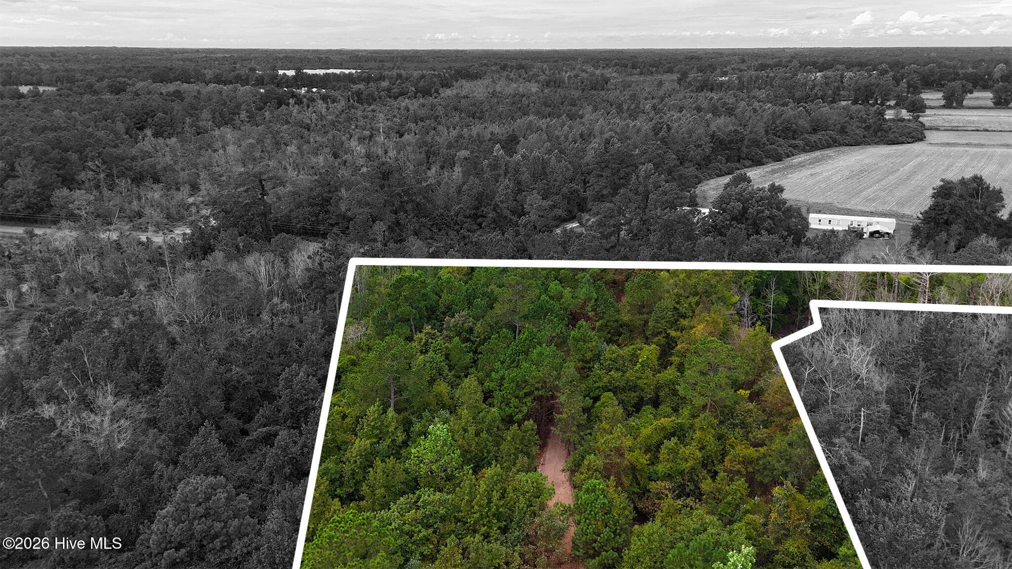 Mixed Use at 5 Bull Tail Road, Wallace, NC 28466, photo 7 of 21