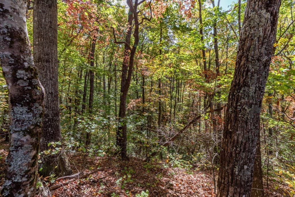 Undeveloped at Lot 38 38 Skyview At Wildlife Acres, Hayesville, NC 28904, Hayesville, photo 14 of 32