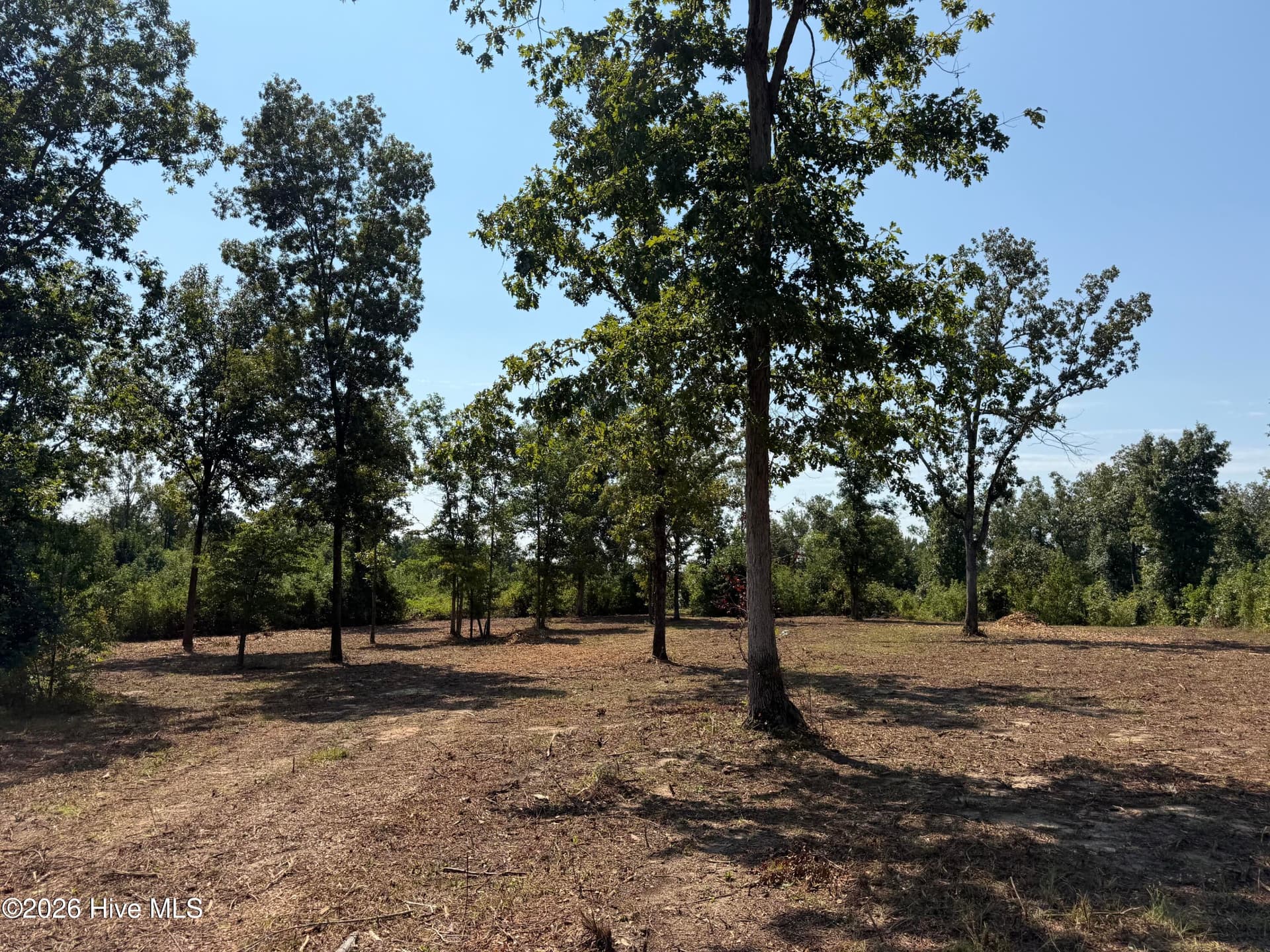 Residential Lot at 0 0 Poole Melton Road, Blythe, GA 30805, photo 7 of 15