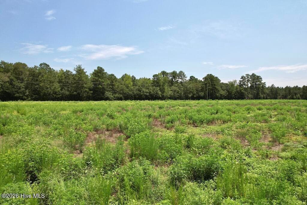Mixed Use at 00 Ward Town Road S, Whiteville, NC 28472, photo 41 of 49