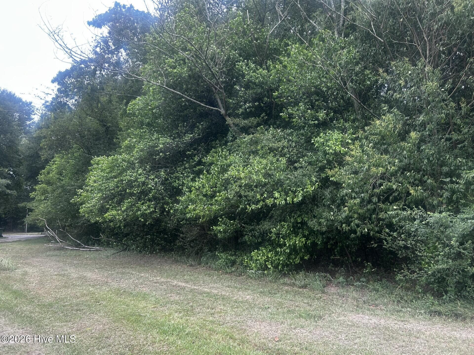 Wooded at 003 S 22nd Avenue, Dillon, SC 29536, Dillon, photo 3 of 3