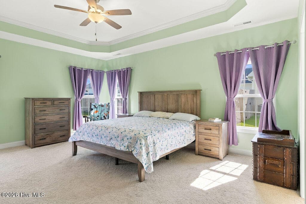 Tray ceiling , Just painted alabaster white - 2019 Tarpon Trail, New Bern, NC 28562
