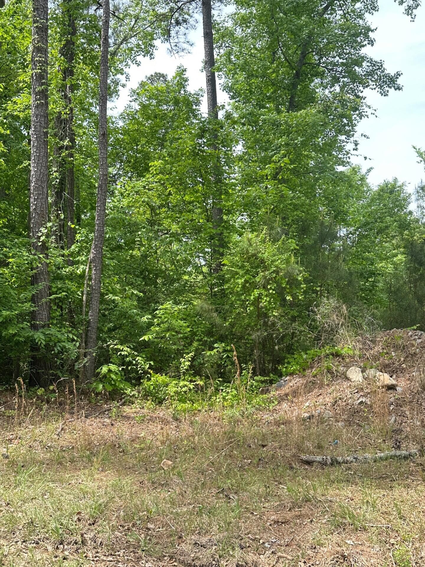Undeveloped at 1 New Delaughter Drive, North Augusta, SC 29860, photo 8 of 10
