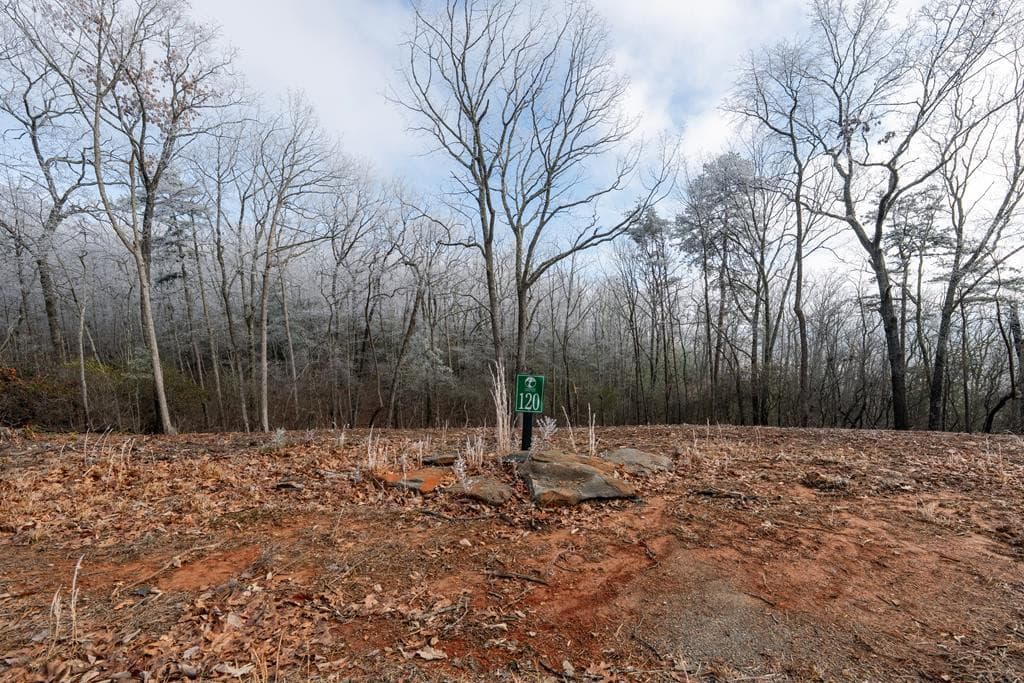 Land at Lot 120 Serene Pond Trail, Murphy, NC 28906, photo 3 of 16