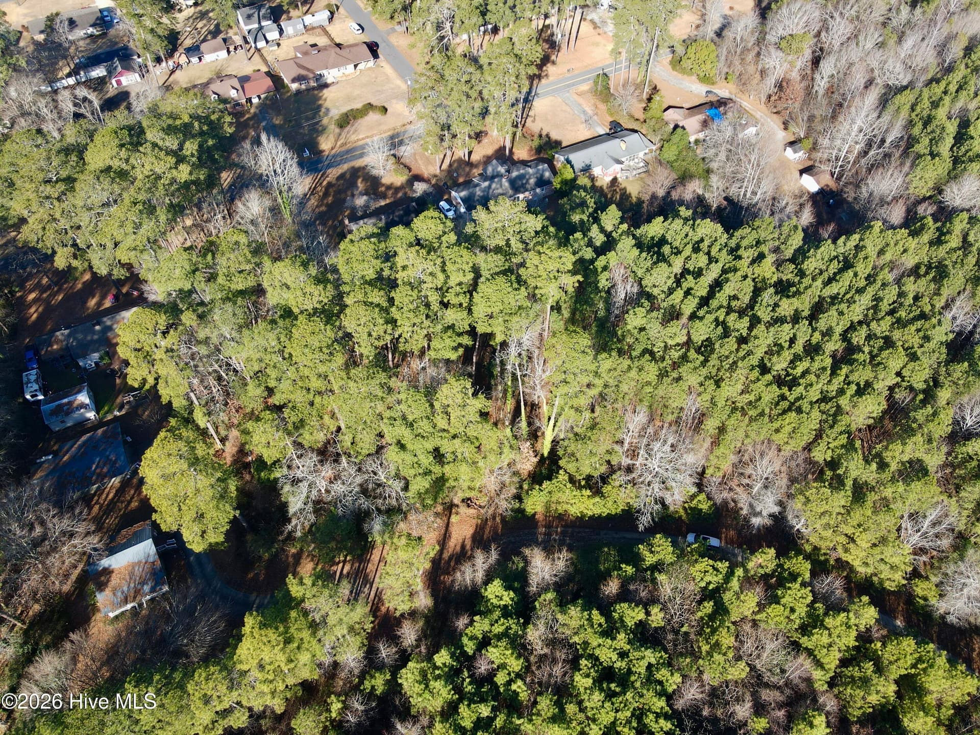 Wooded at 0 Alexander Lane, Williamston, NC 27892, photo 4 of 11