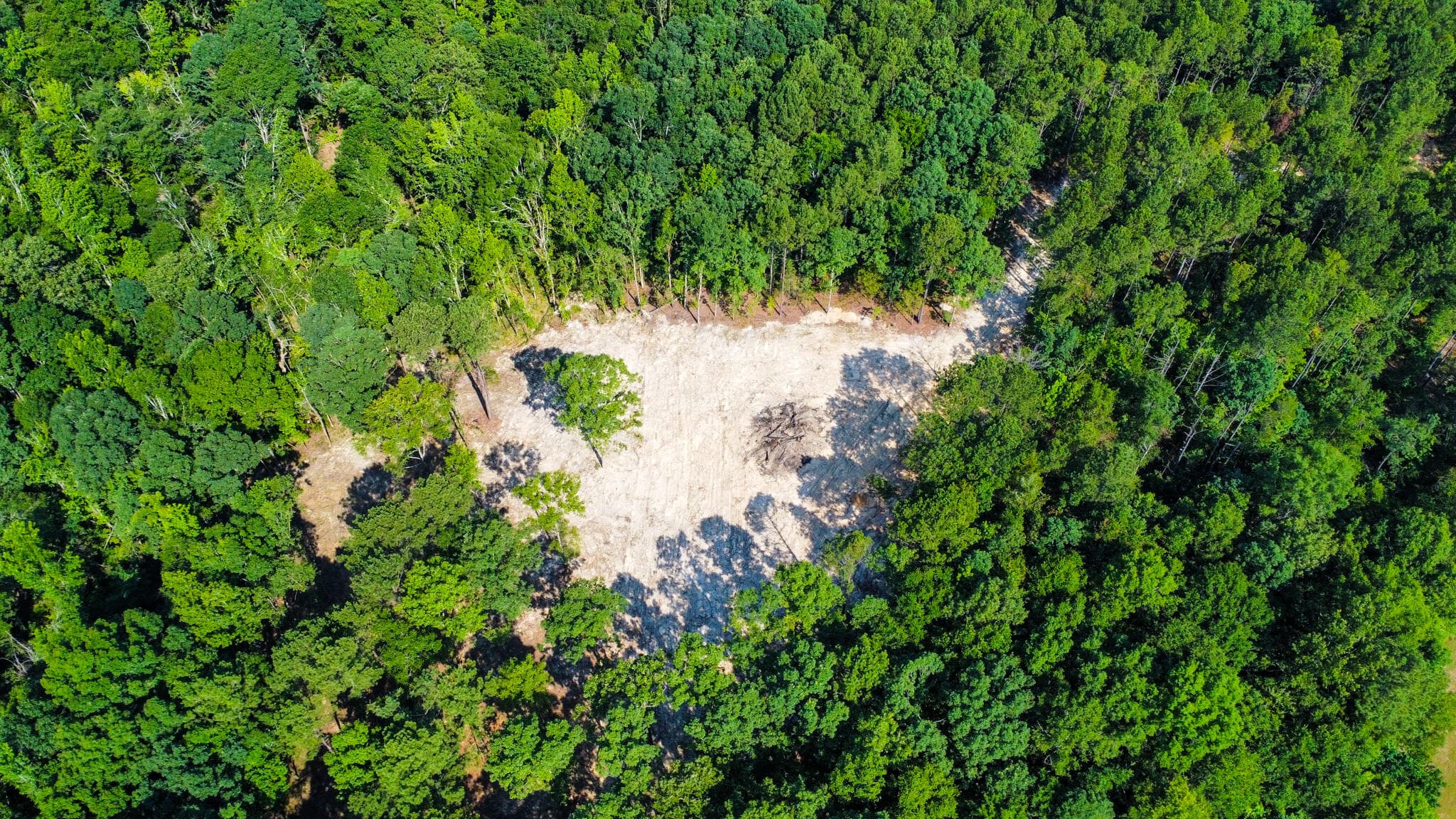Undeveloped at 0 Backway Road, Lincolnton, GA 30817, photo 18 of 48