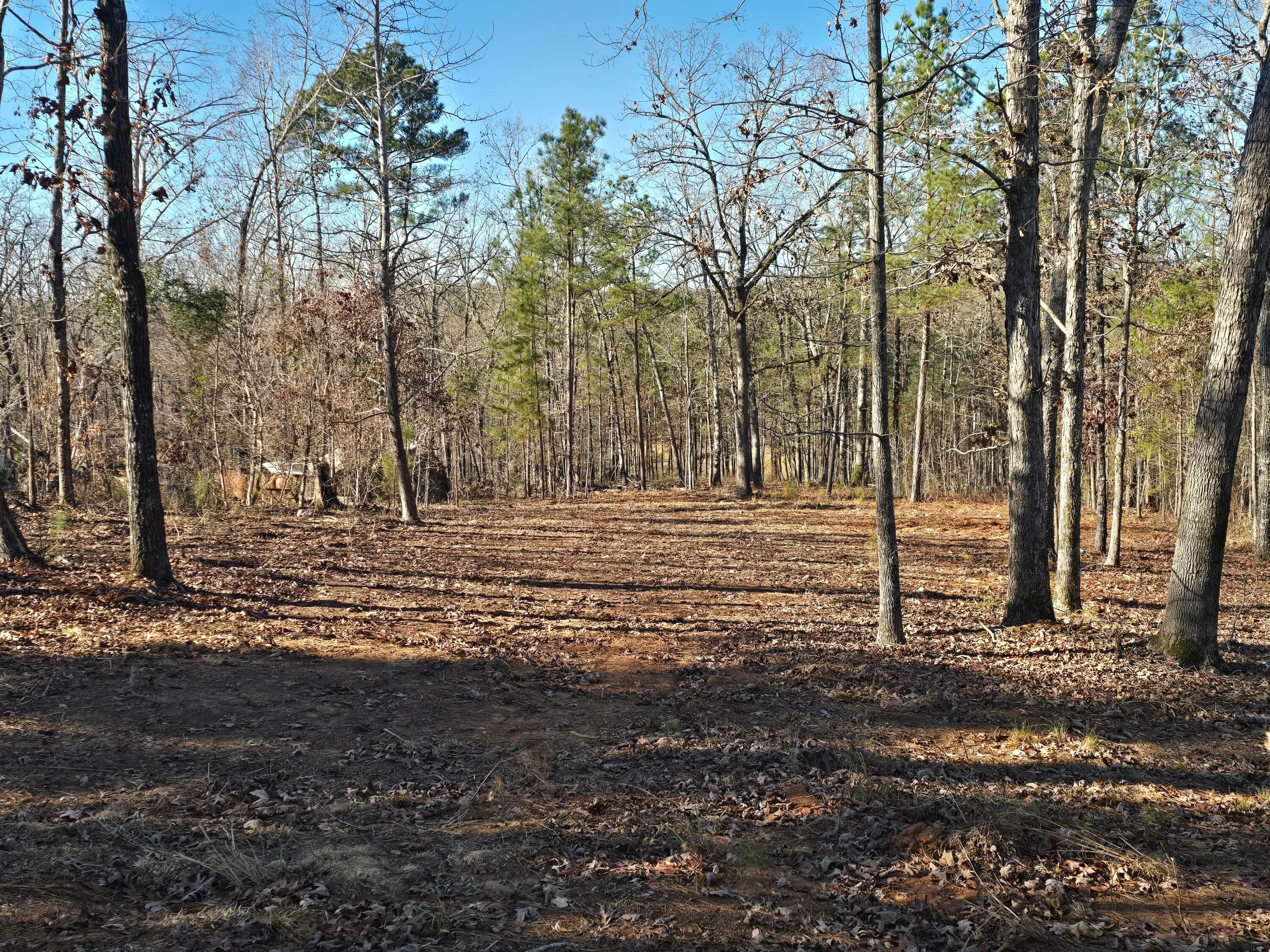 Residential Lot at 1102 Dogwood Drive, Lincolnton, GA 30817, photo 7 of 46