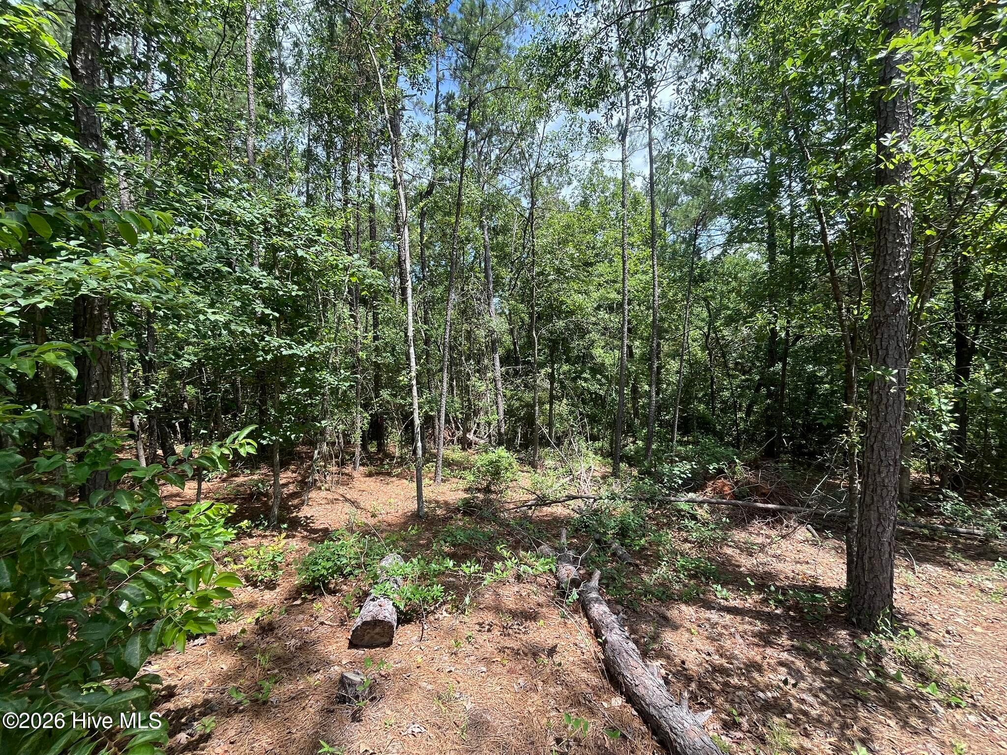 Undeveloped at 160 7 Charlene Drive, Hephzibah, GA 30815, photo 6 of 13