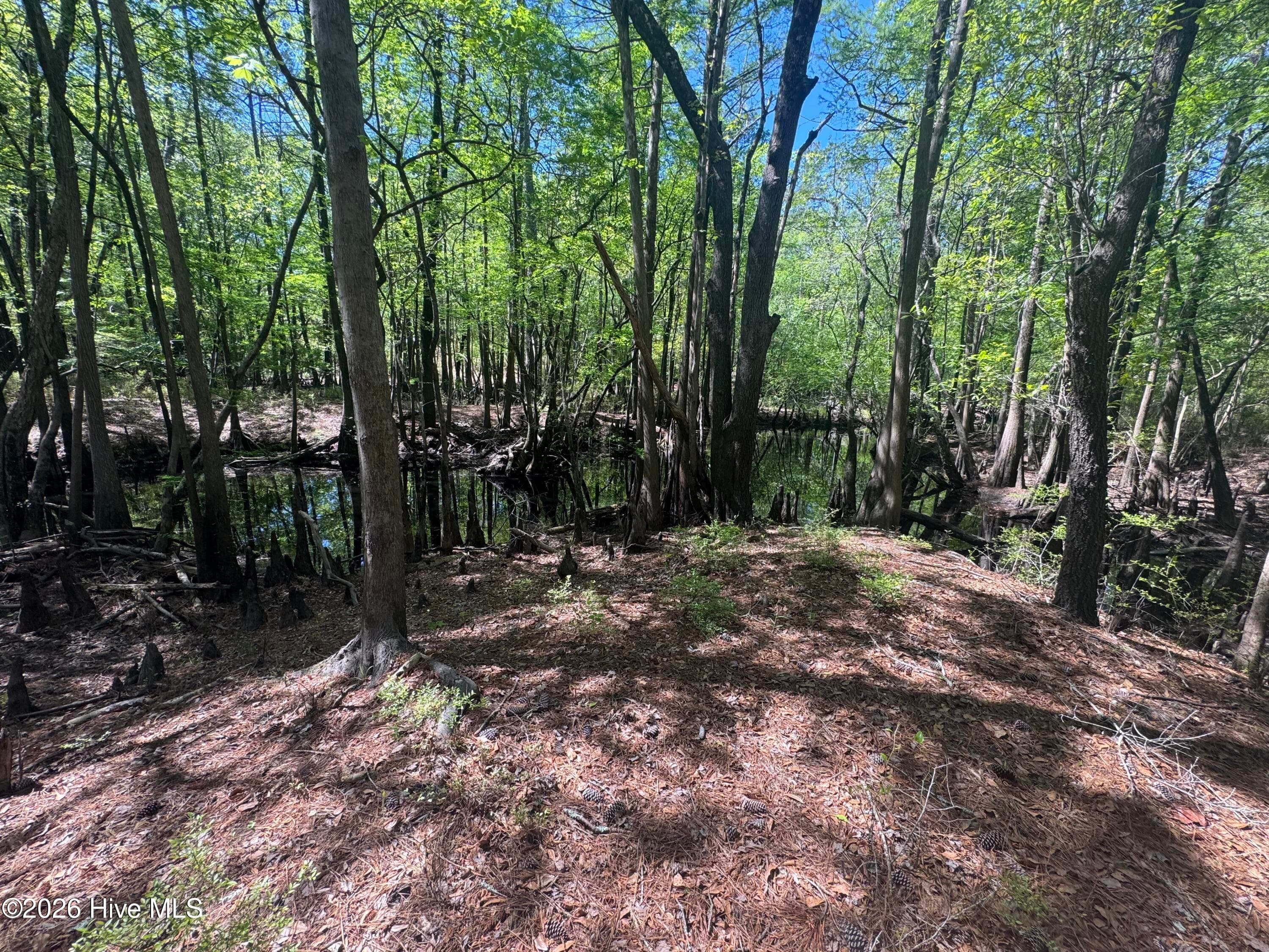 Undeveloped at 5, 6, 7 53 Off Highway, Atkinson, NC 28421, photo 2 of 12