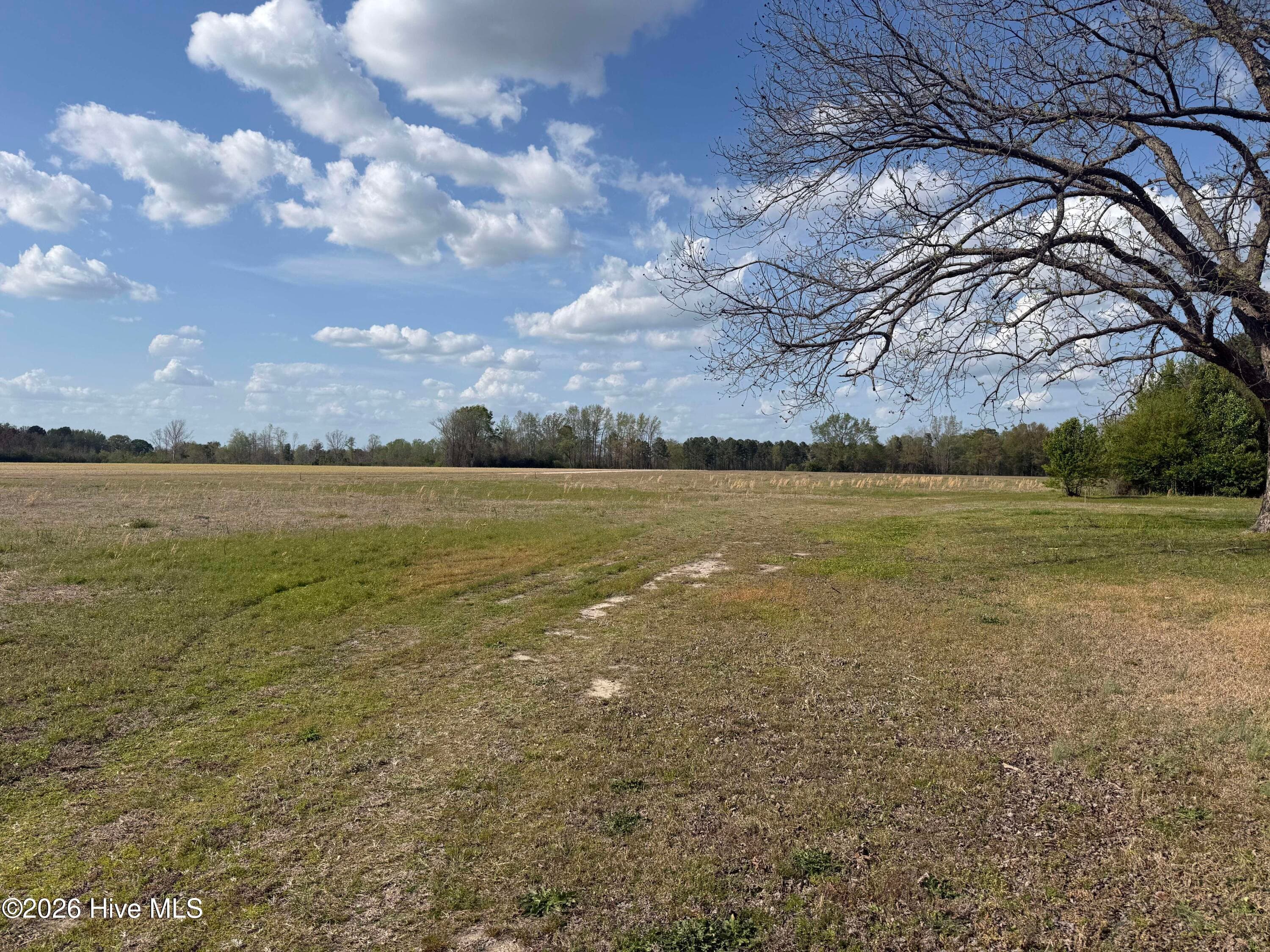 Undeveloped at 4713 A Rosebud Church Road, Elm City, NC 27822, photo 2 of 2