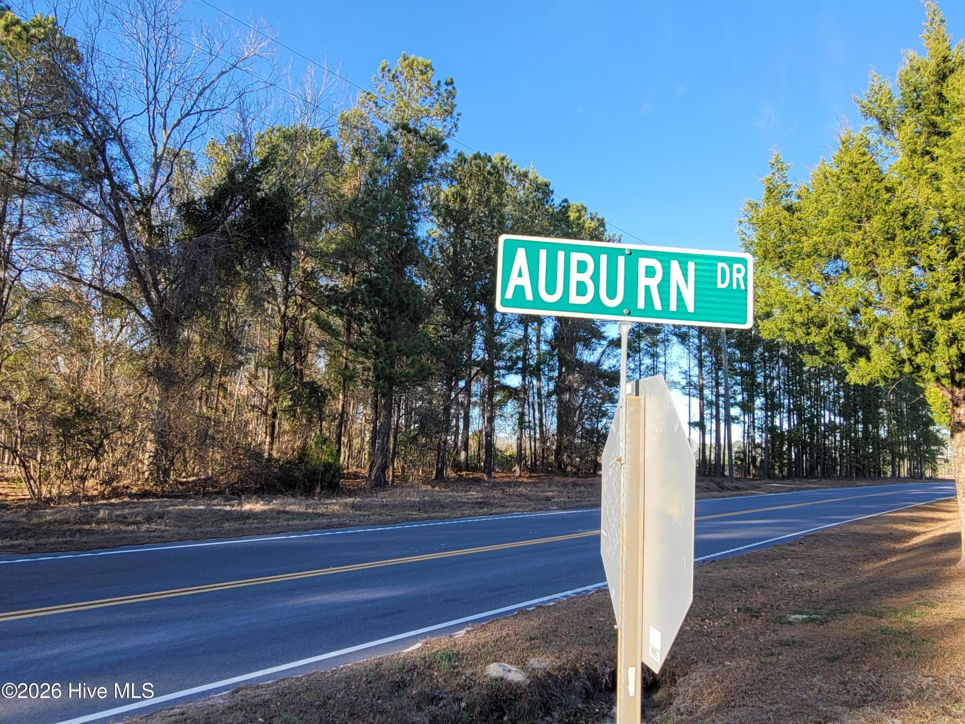 Farm at Tbd 1 total Log Cabin Road, Loris, SC 29569, photo 3 of 14