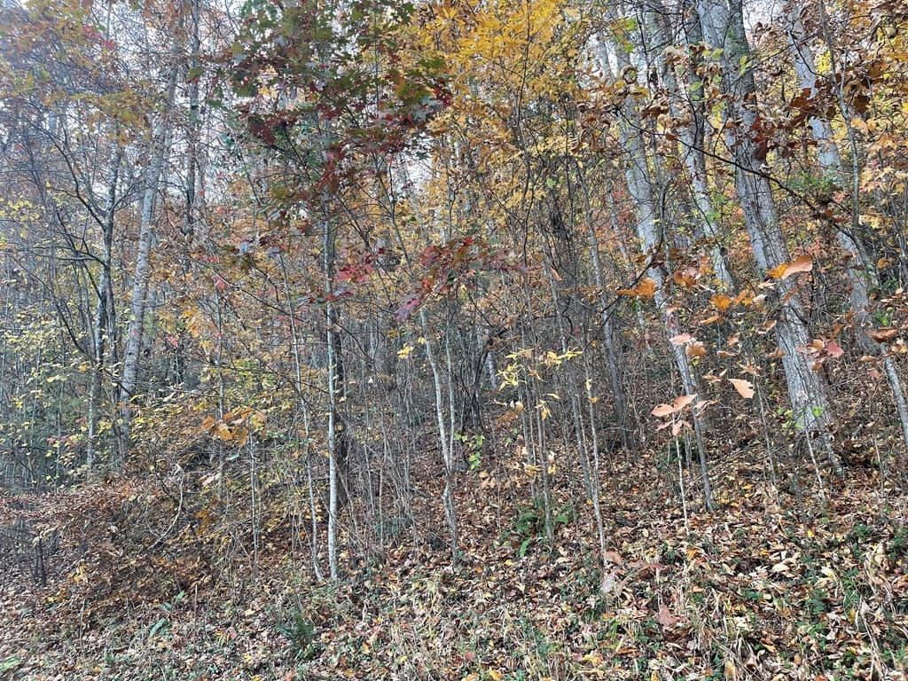 Residential Lot at Lot 51j 51J Indian Trail, Hayesville, NC 28904, Hayesville, photo 2 of 4