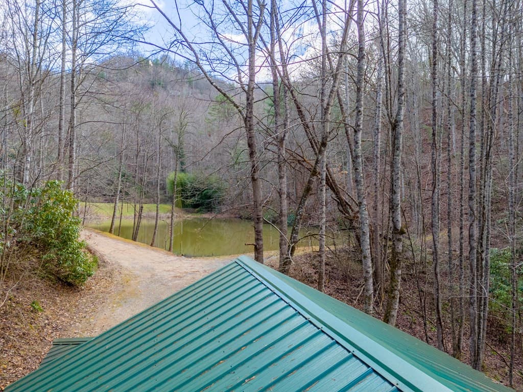 Residential at 180 Valley Lane, Bryson City, NC 28713, Bryson City, photo 80 of 82