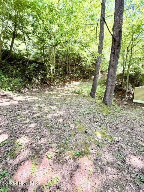 Manufactured Home at 89 Dog Hollow Hollow, Robbinsville, NC 28771, photo 20 of 22