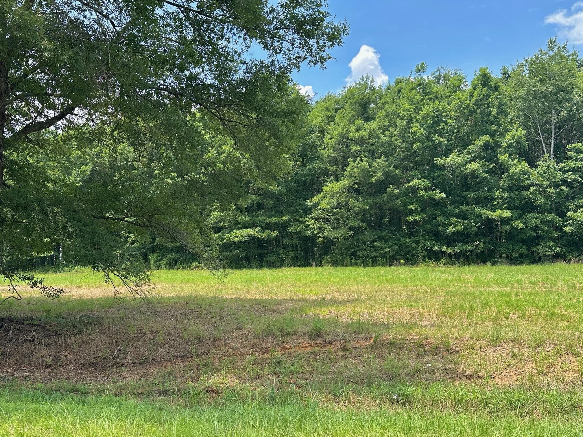 0 Chappel Road, Waynesboro, GA 30830
