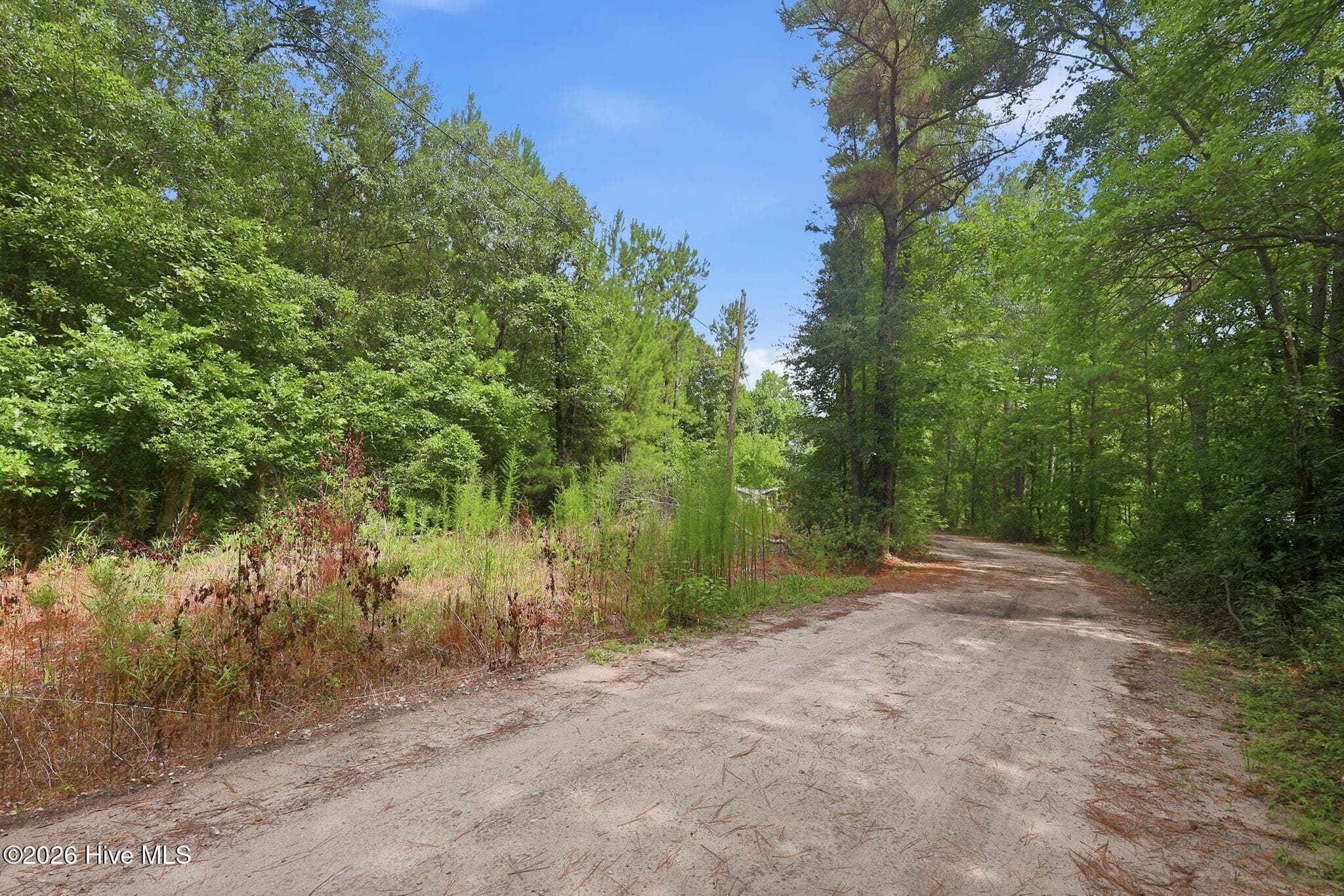 Undeveloped at 0 Copperhead Lane, Burgaw, NC 28425, photo 5 of 24