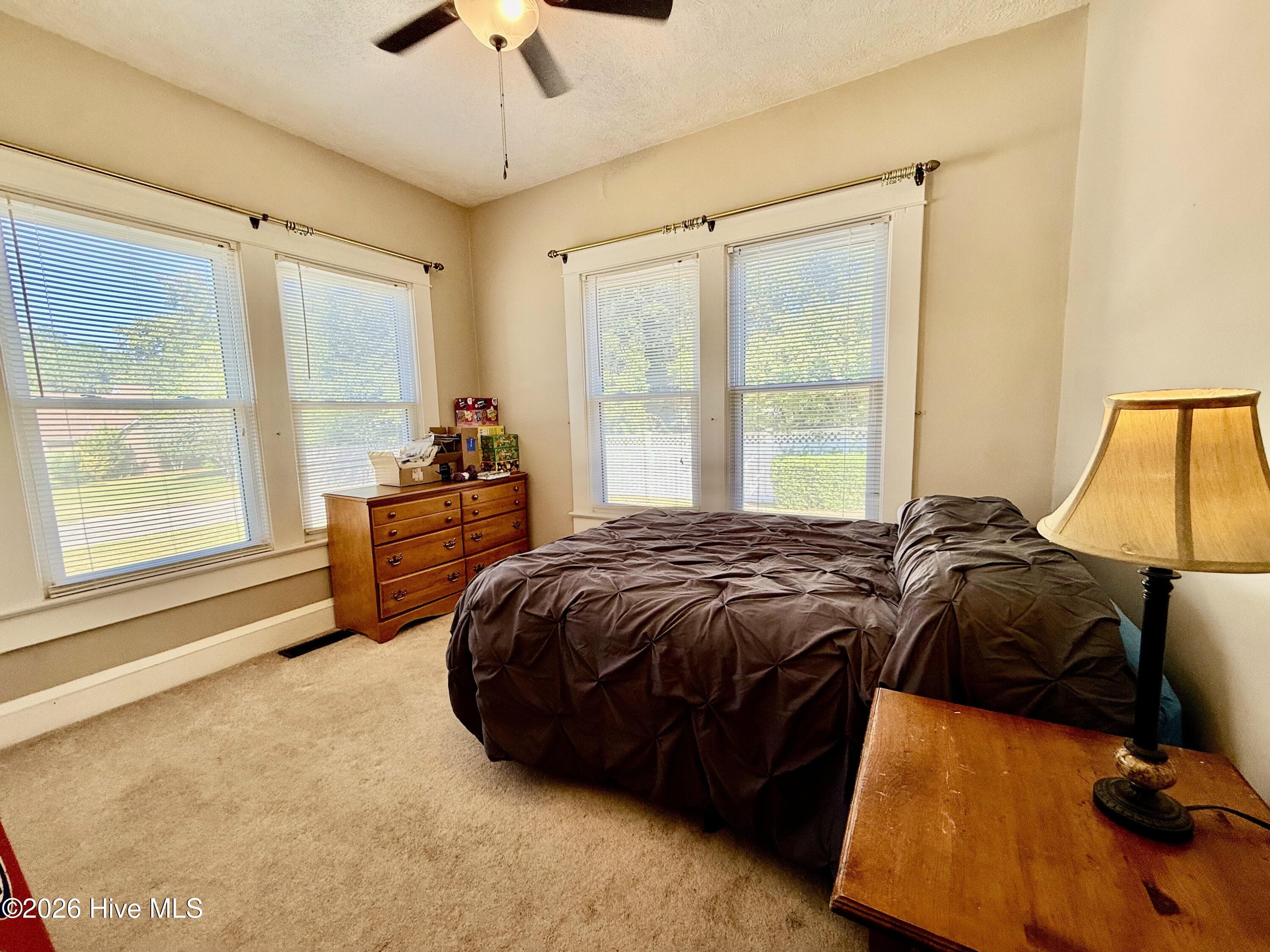 Single Family Residence at 408 Boyette Street, Hamlet, NC 28345, photo 28 of 76