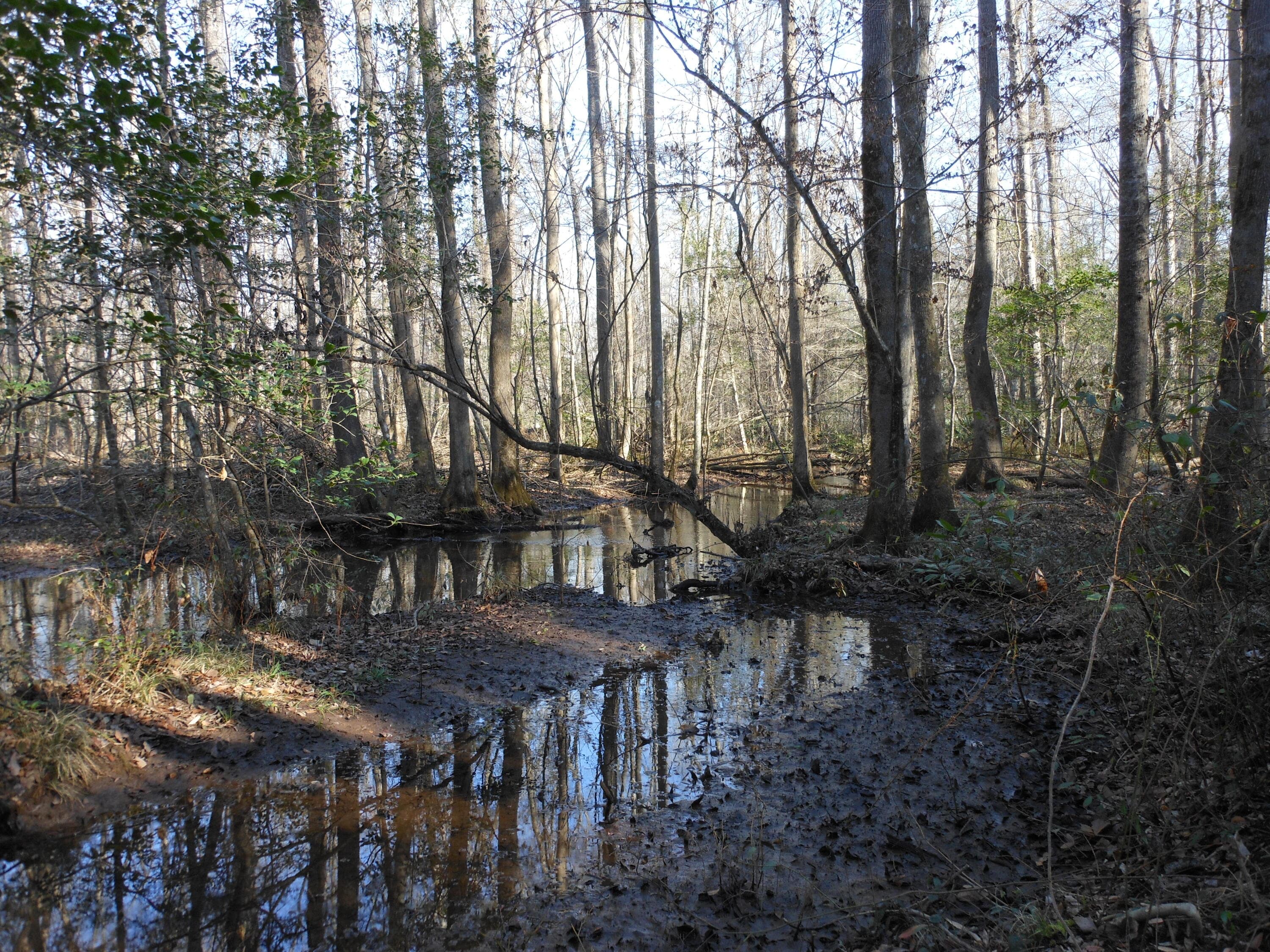 Undeveloped at 0 Ponderosa Road, Waynesboro, GA 30830, photo 31 of 45