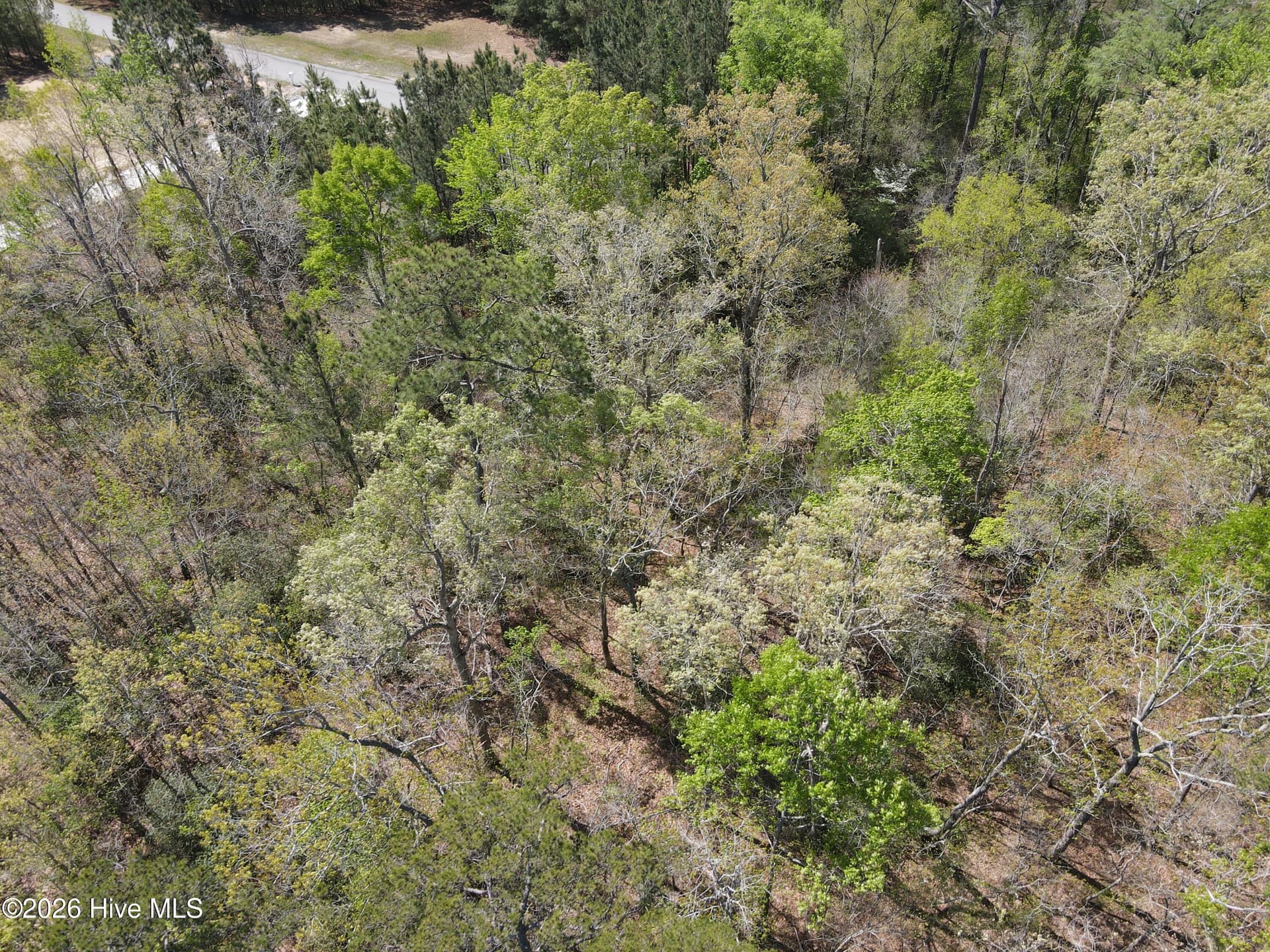 Wooded at Lot 12 River Bluff Drive, Winton, NC 27986, photo 8 of 10