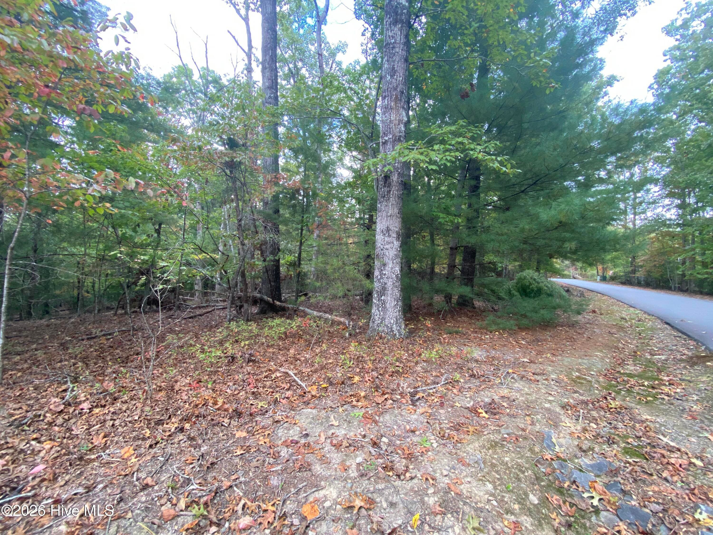 Wooded at 14 14 Mission Ridge, Hayesville, NC 28904, Hayesville, photo 14 of 14