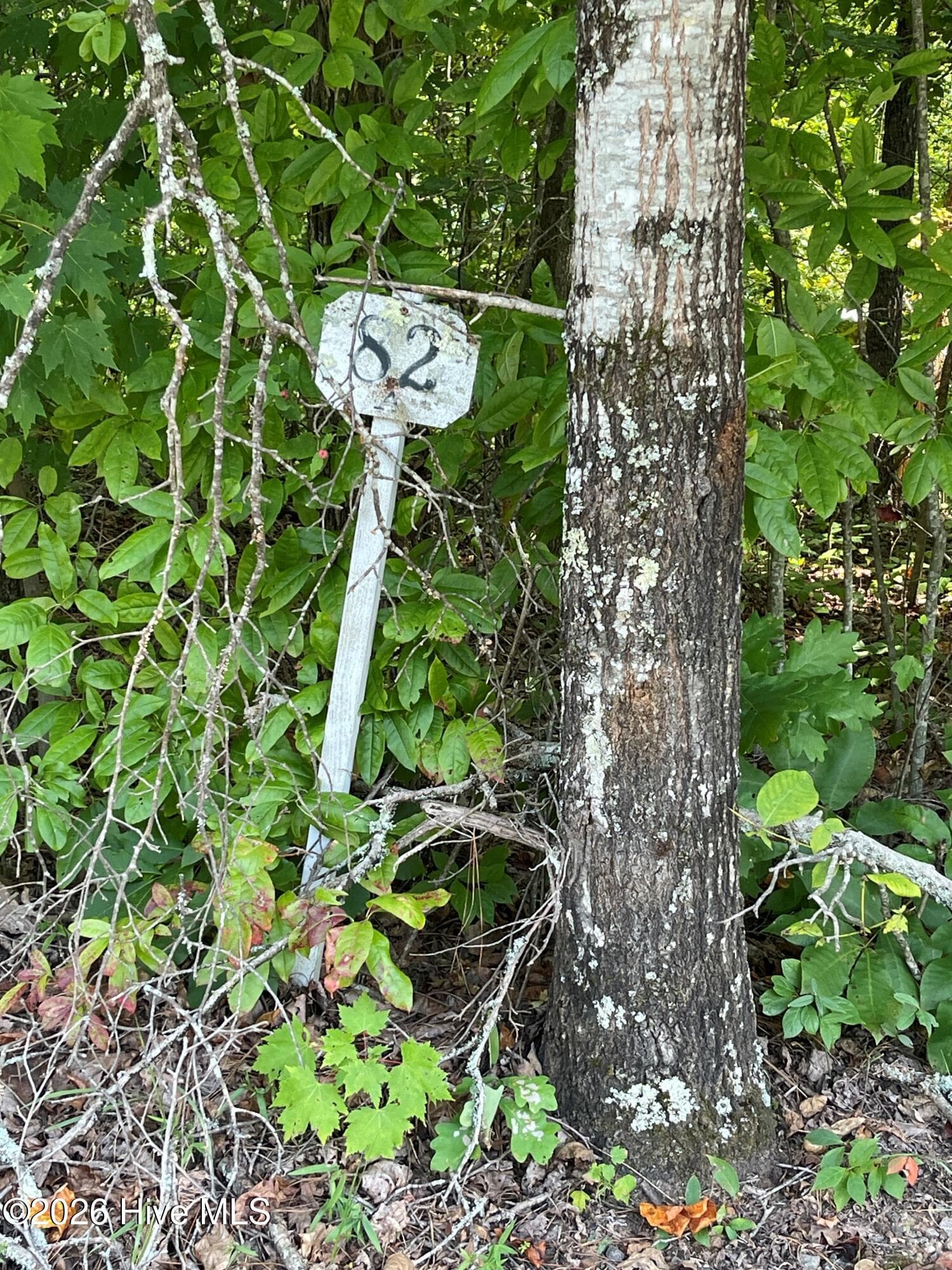 Residential Lot at 81a-82a 81A-82A Licklog Road, Hayesville, NC 28904, Hayesville, photo 2 of 5