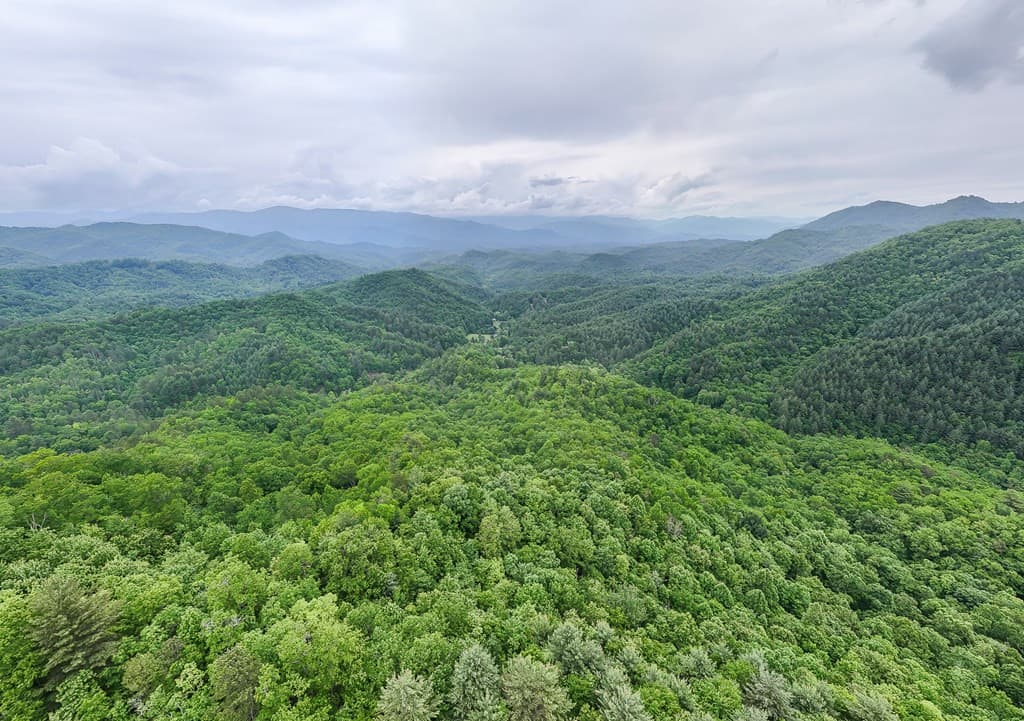 Land at 399 Shell Stand Road, Almond, NC 28702, photo 13 of 21