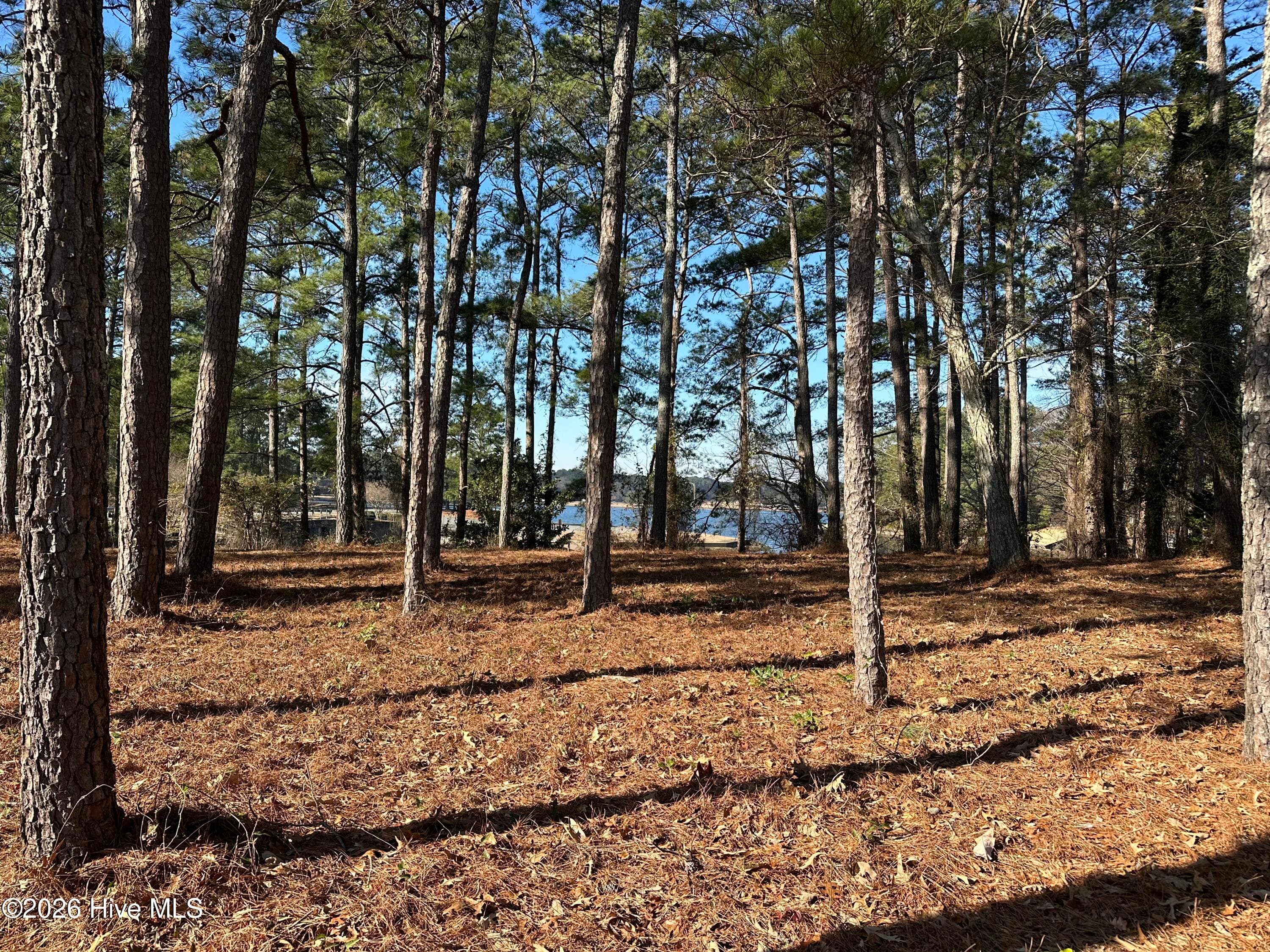 Undeveloped at 00 Mill Road, Goldsboro, NC 27534, photo 4 of 4