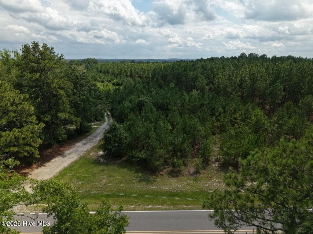 Residential Lot at 1581 Doubs Chapel Road, West End, NC 27376, photo 4 of 10