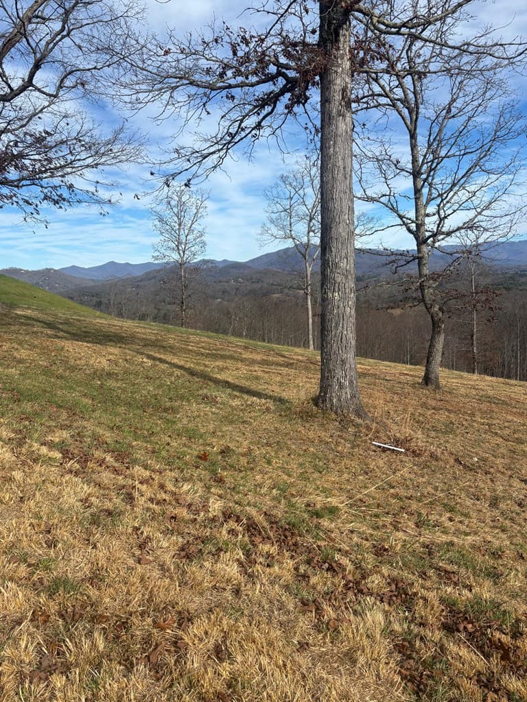 Residential Lot at Lot 24 24 Jack, Hayesville, NC 28904, Hayesville, photo 2 of 4