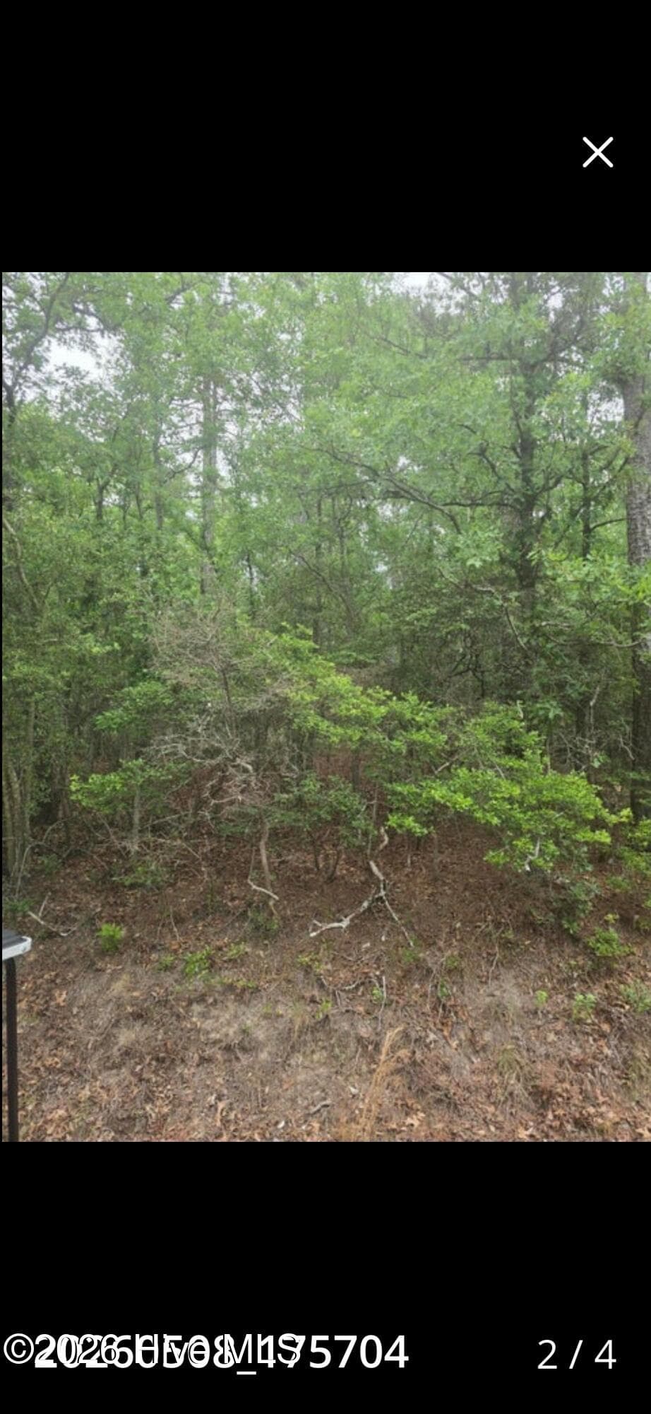 Undeveloped at 00 Leonard Lane, North Augusta, SC 29860, photo 2 of 4