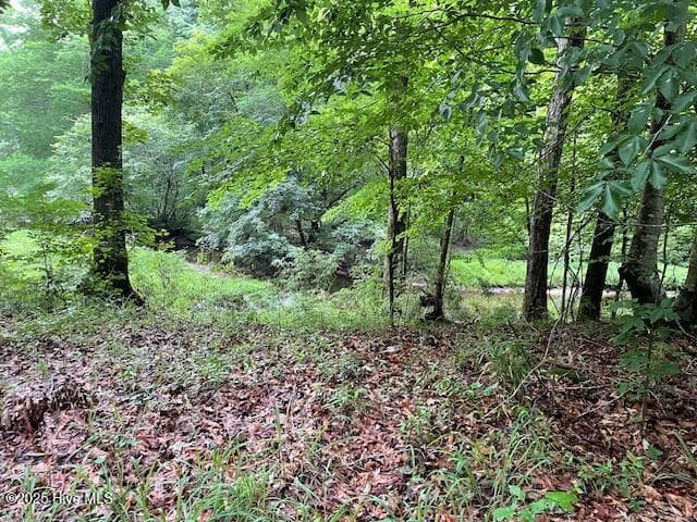 Residential Lot at 62 Live Oak Drive, Elizabethtown, NC 28337, photo 3 of 4