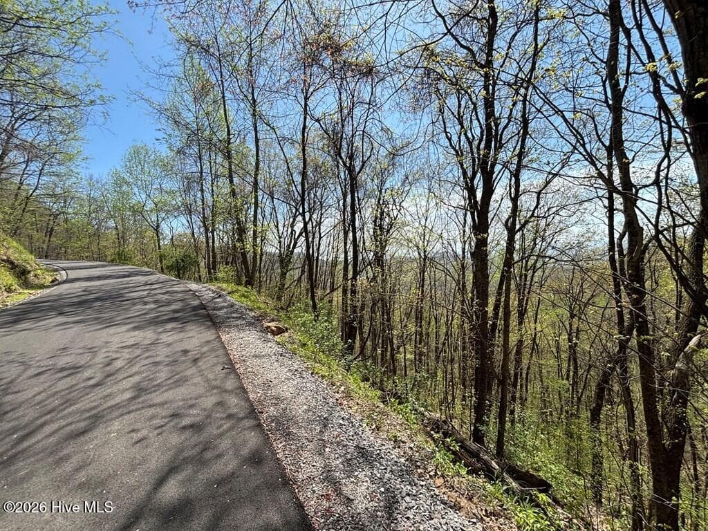 Wooded at Lot 4 Outlook Road, Murphy, NC 28906, photo 5 of 10