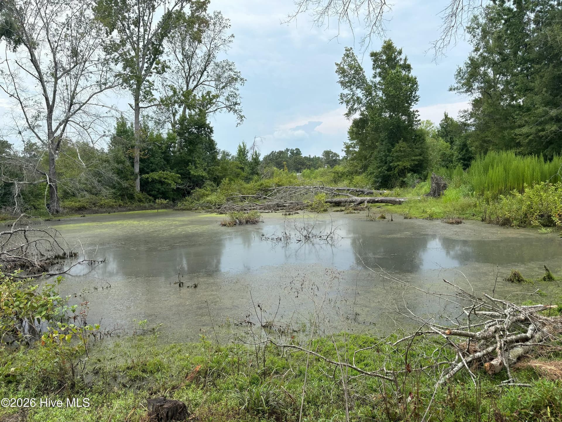 Residential Lot at 0 0 Poole Melton Road, Blythe, GA 30805, photo 14 of 15