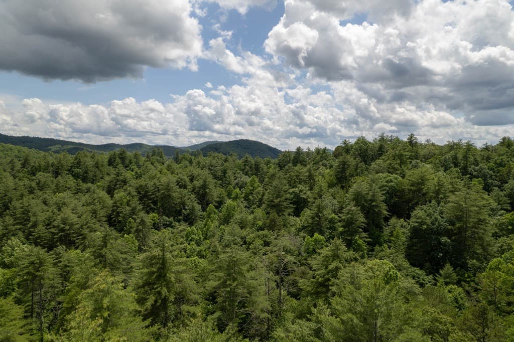 Residential Lot at Tbd 11 Spectacular Boulevard, Hayesville, NC 28904, Hayesville, photo 4 of 9