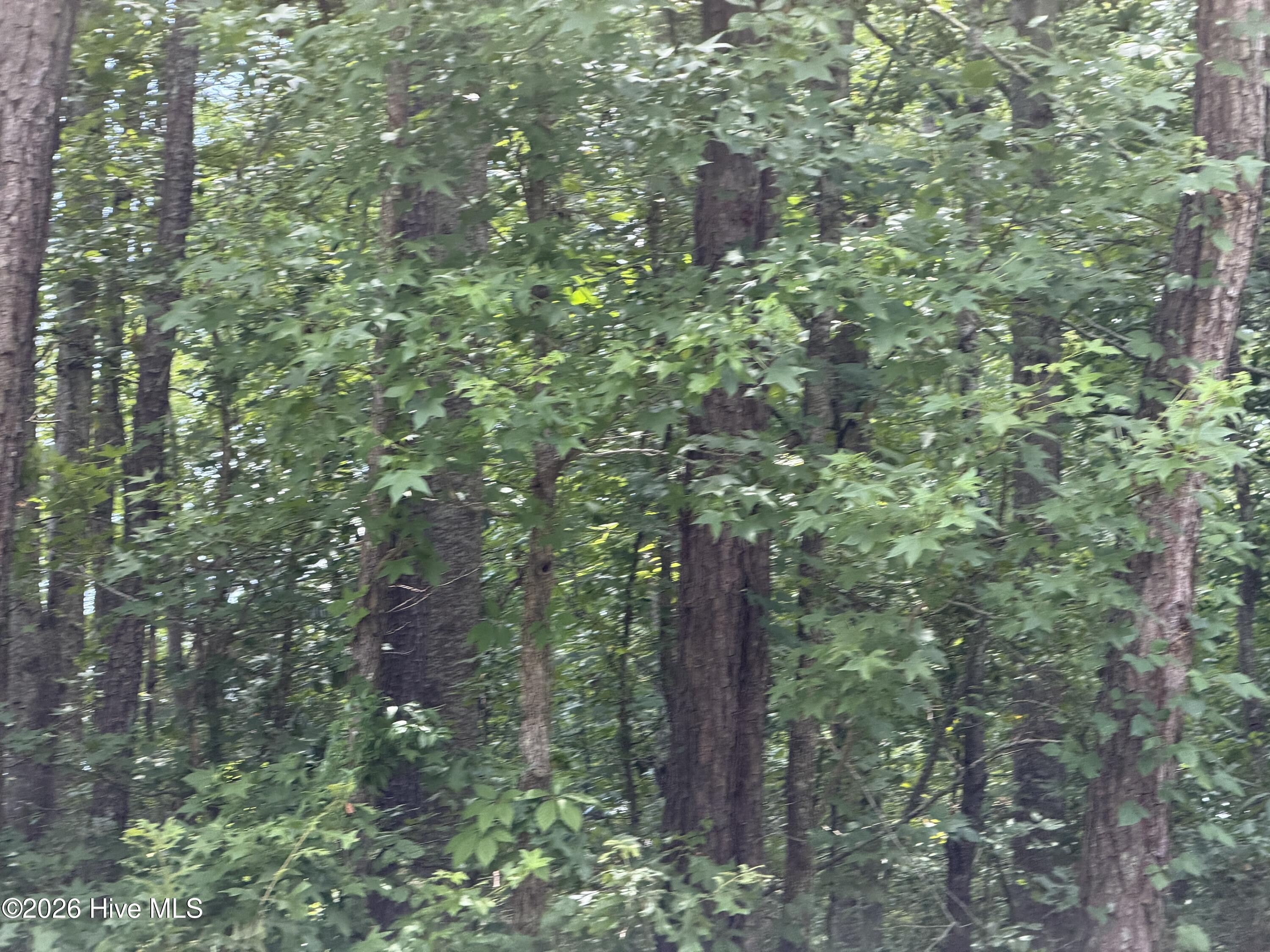 Residential Lot at 0 Sr 1916 & 1917, Aurora, NC 27806, photo 2 of 8